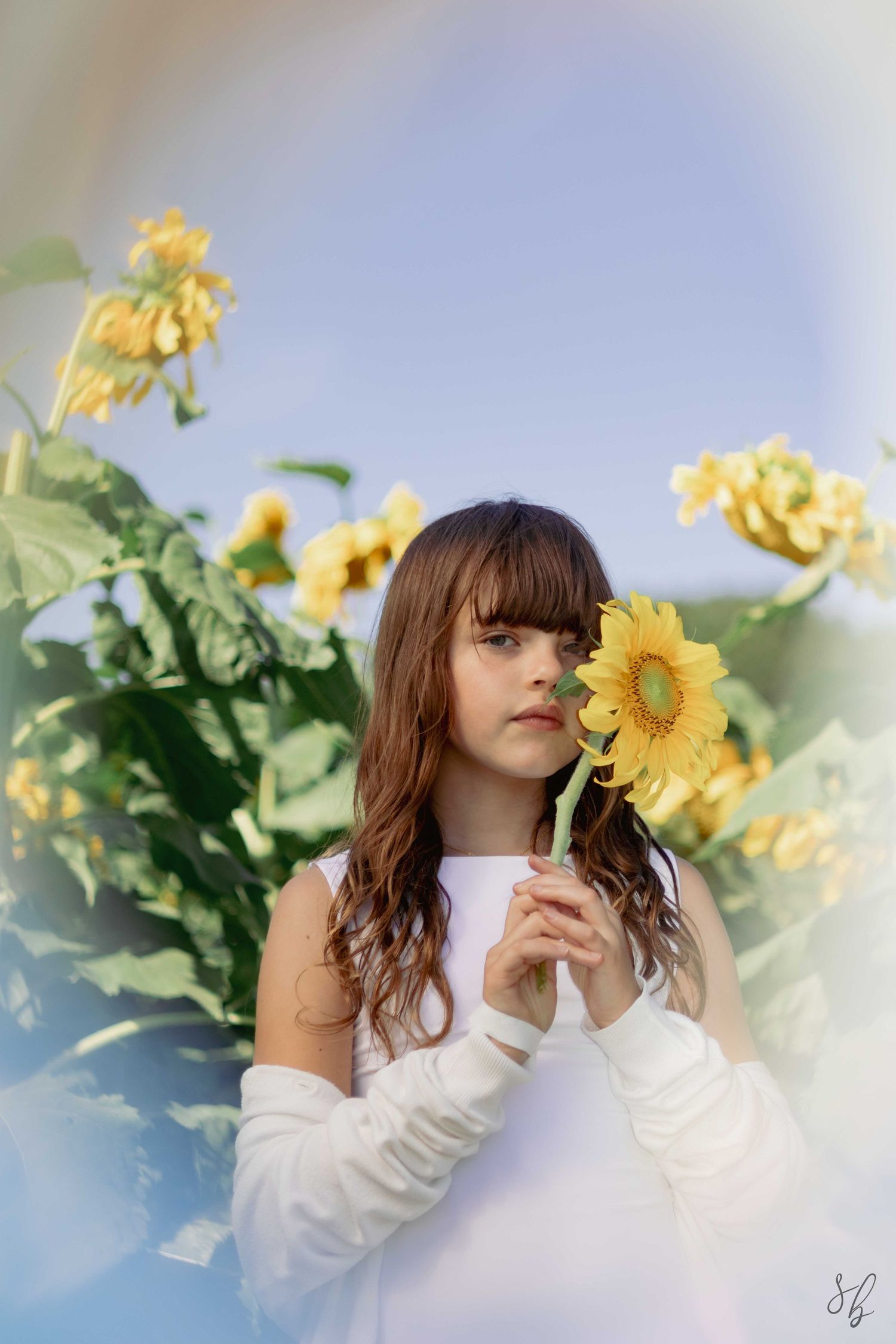 Andover children photographer capturing a natural outdoor portrait of a girl standing in a sunflower field with soft, golden light.