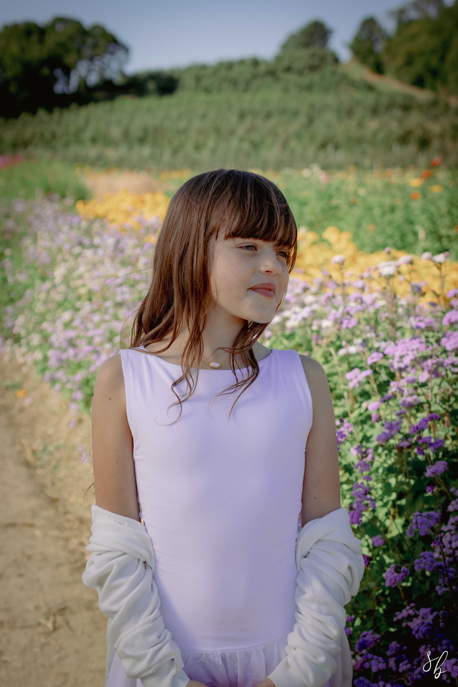 Andover children photographer capturing a natural outdoor portrait of a girl standing in a sunflower field with soft, golden light.