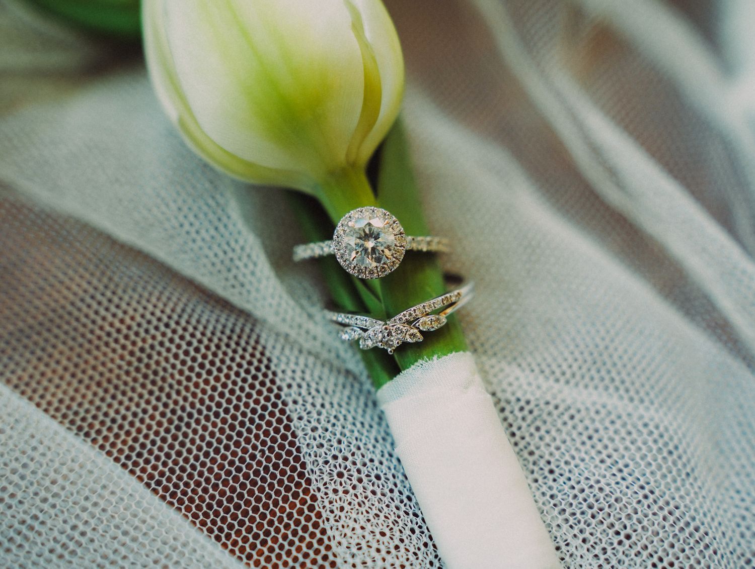 Wedding Photos