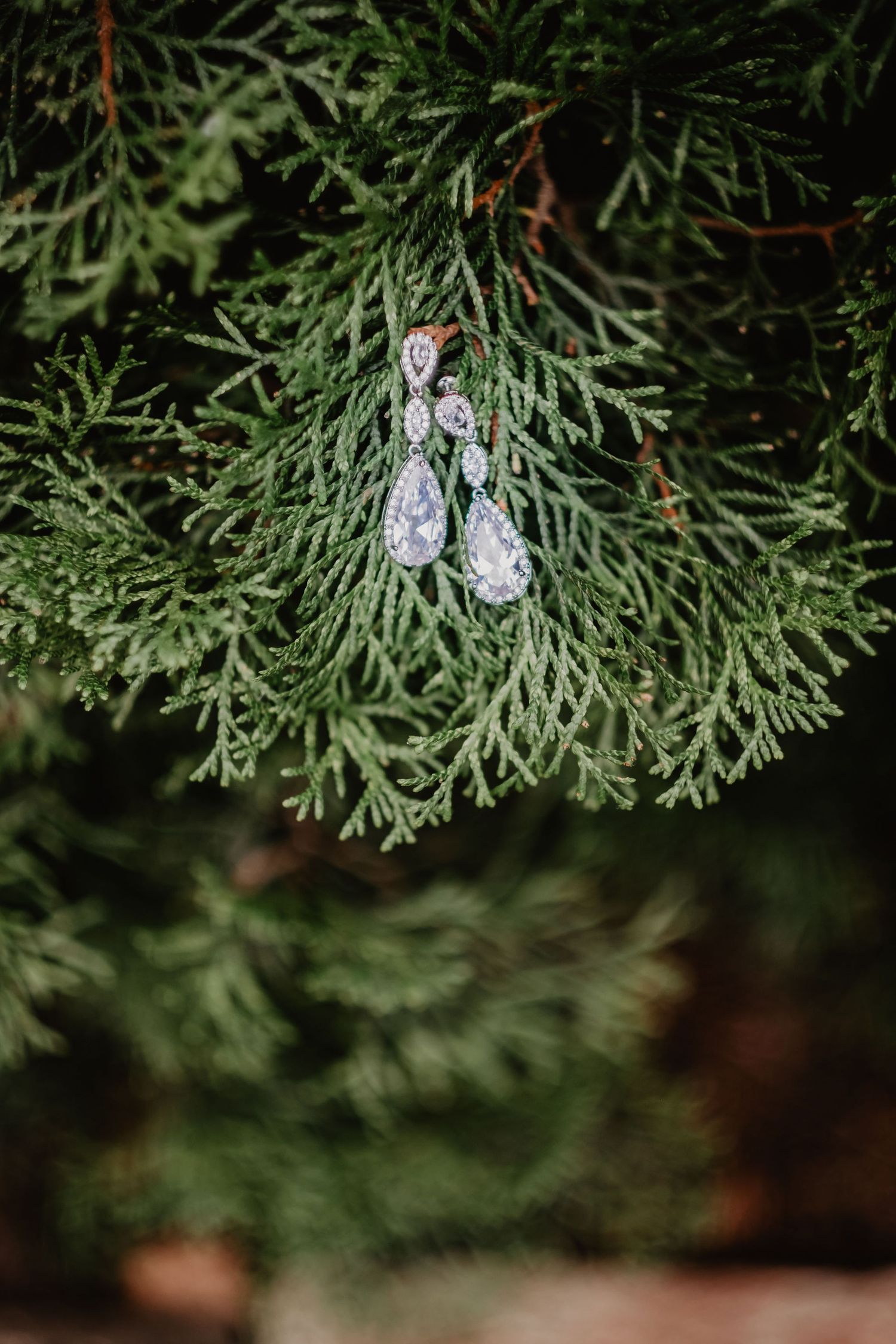 Elegant crystal drop earrings displayed on green evergreen branches for a wedding.