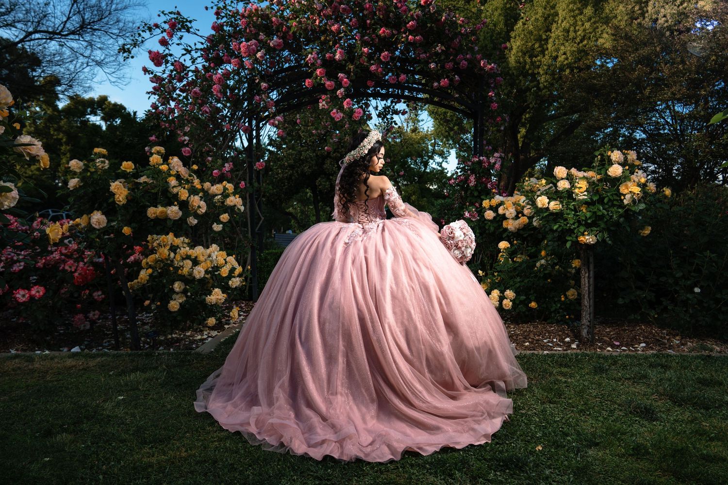 Woman in pink ball gown twirls near colorful rose garden arch at dusk.