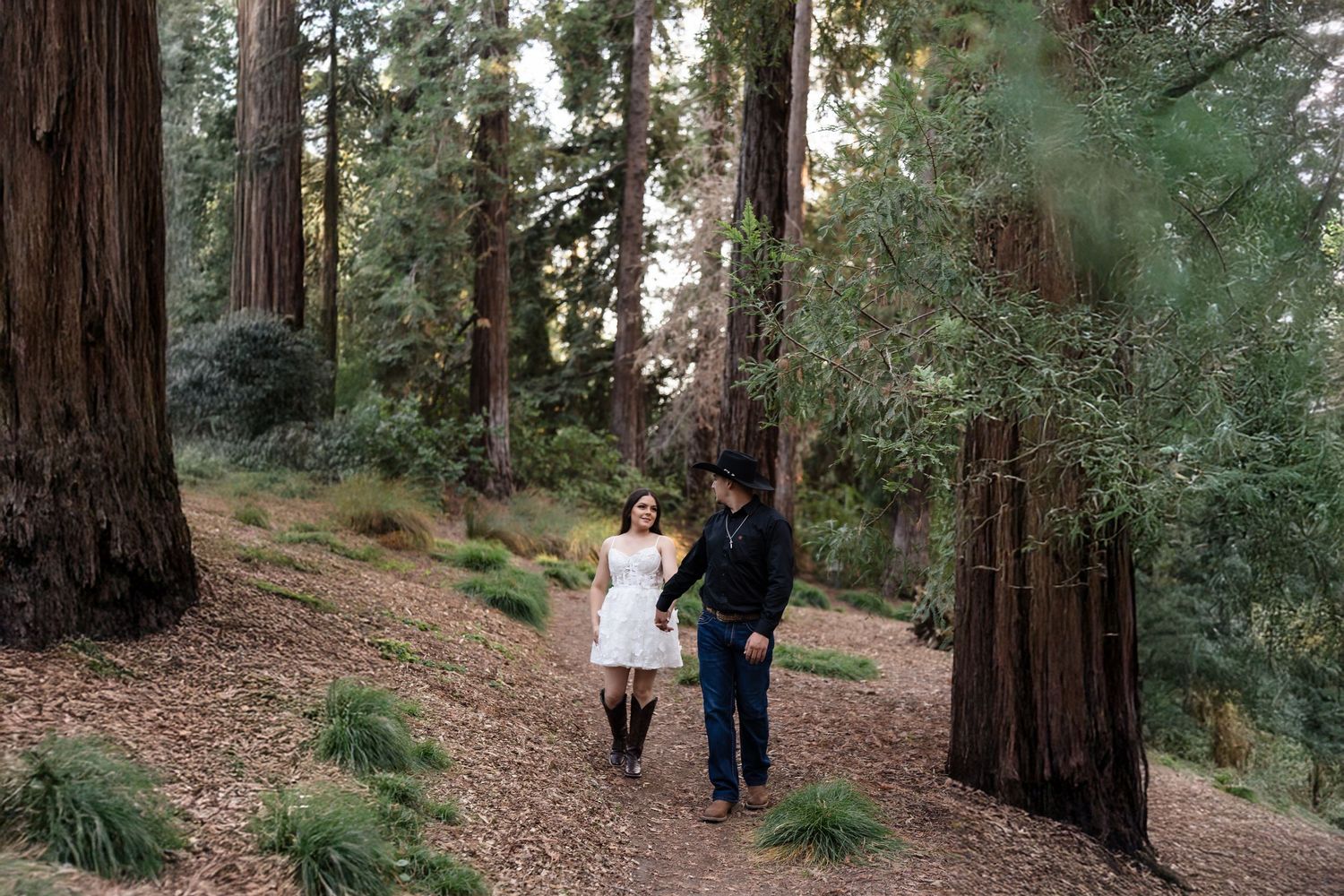 Couple walking hand in hand through a majestic redwood forest during romantic engagement photo session.