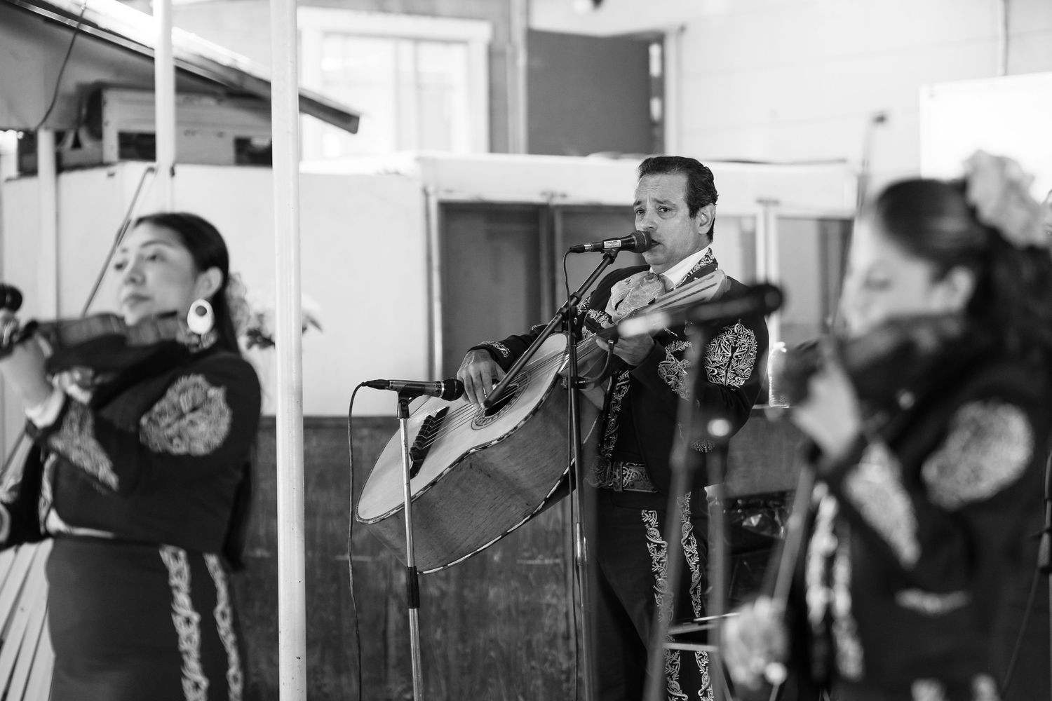 Mariachi band performing in black and white photo with musicians playing violin and guitar.