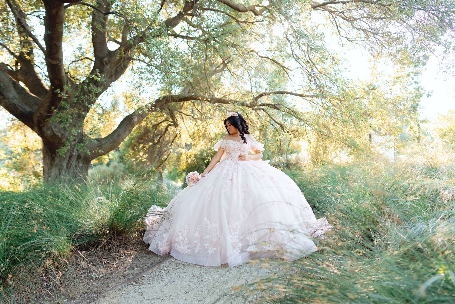 A bride in a voluminous blush ball gown poses gracefully under a large tree in a sunlit outdoor setting.