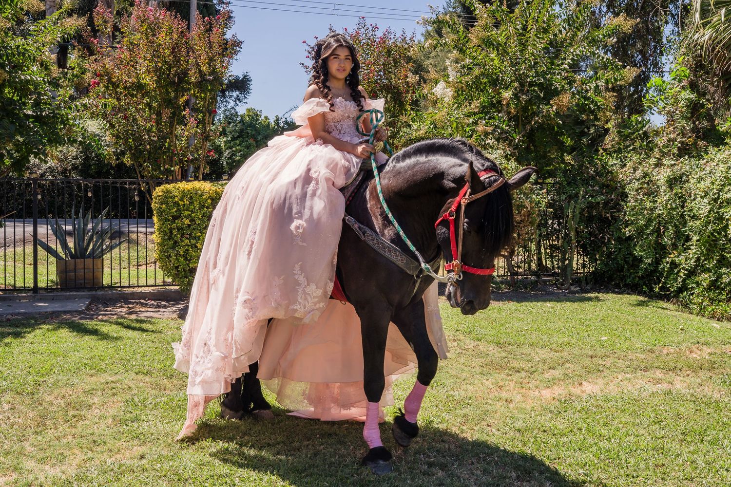 Young woman in pink quinceañera ball gown posing on a dark horse outdoors on green grass.
