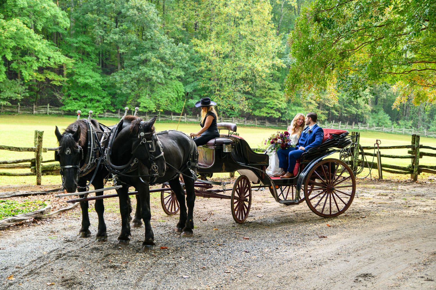 A couple rides in an elegant black horse-drawn carriage pulled by two dark horses on a scenic wooded path.
