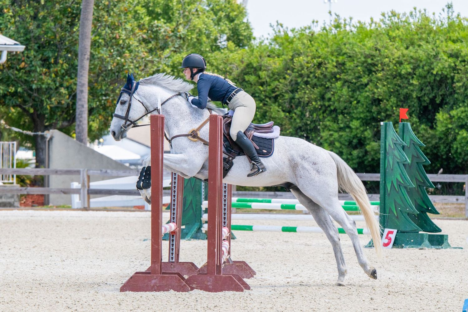 Gray horse and rider jumping over red poles in an equestrian show jumping competition outdoors.