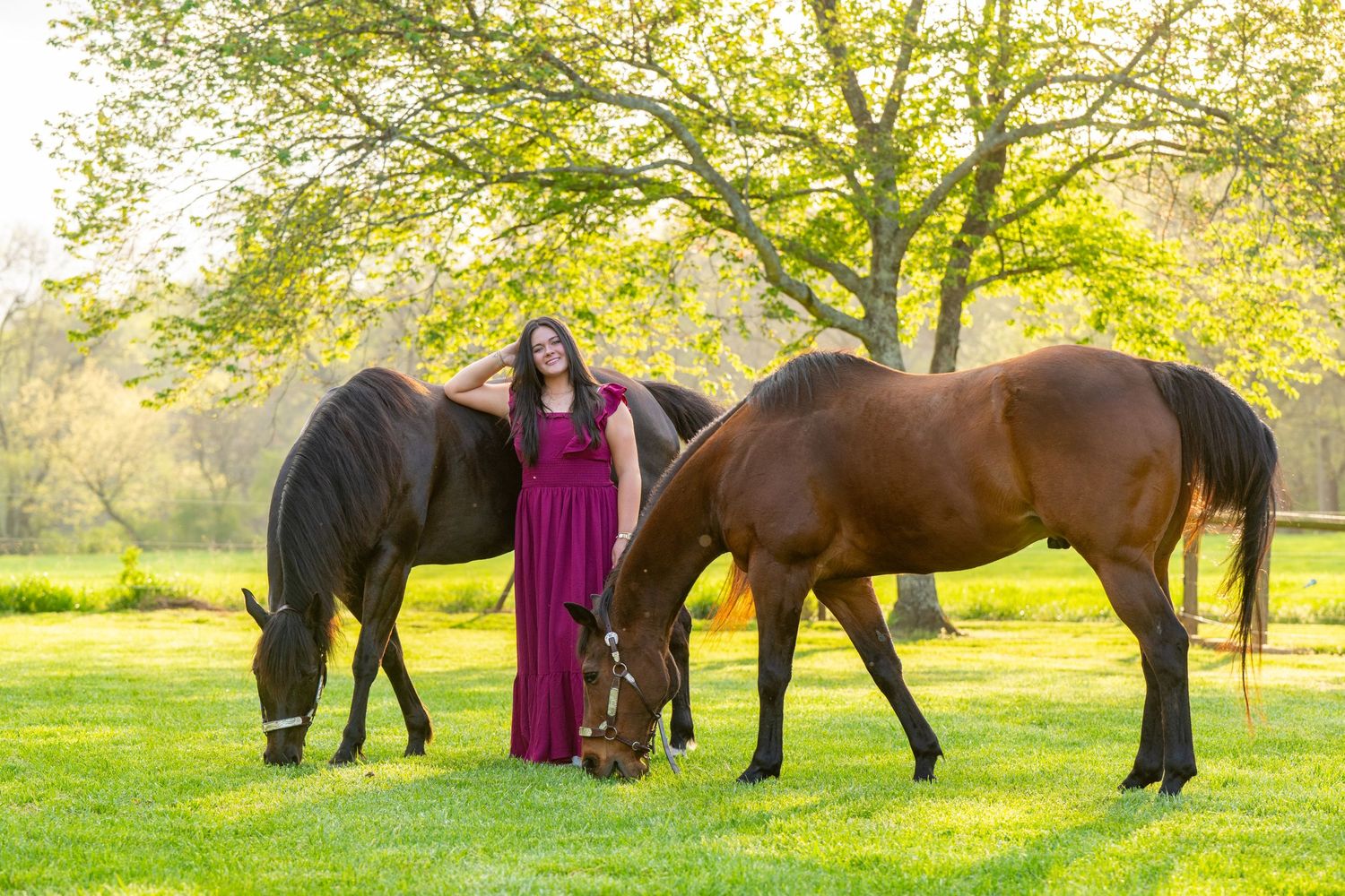 Woman in purple gown standing among three grazing horses in a sunny green pasture.