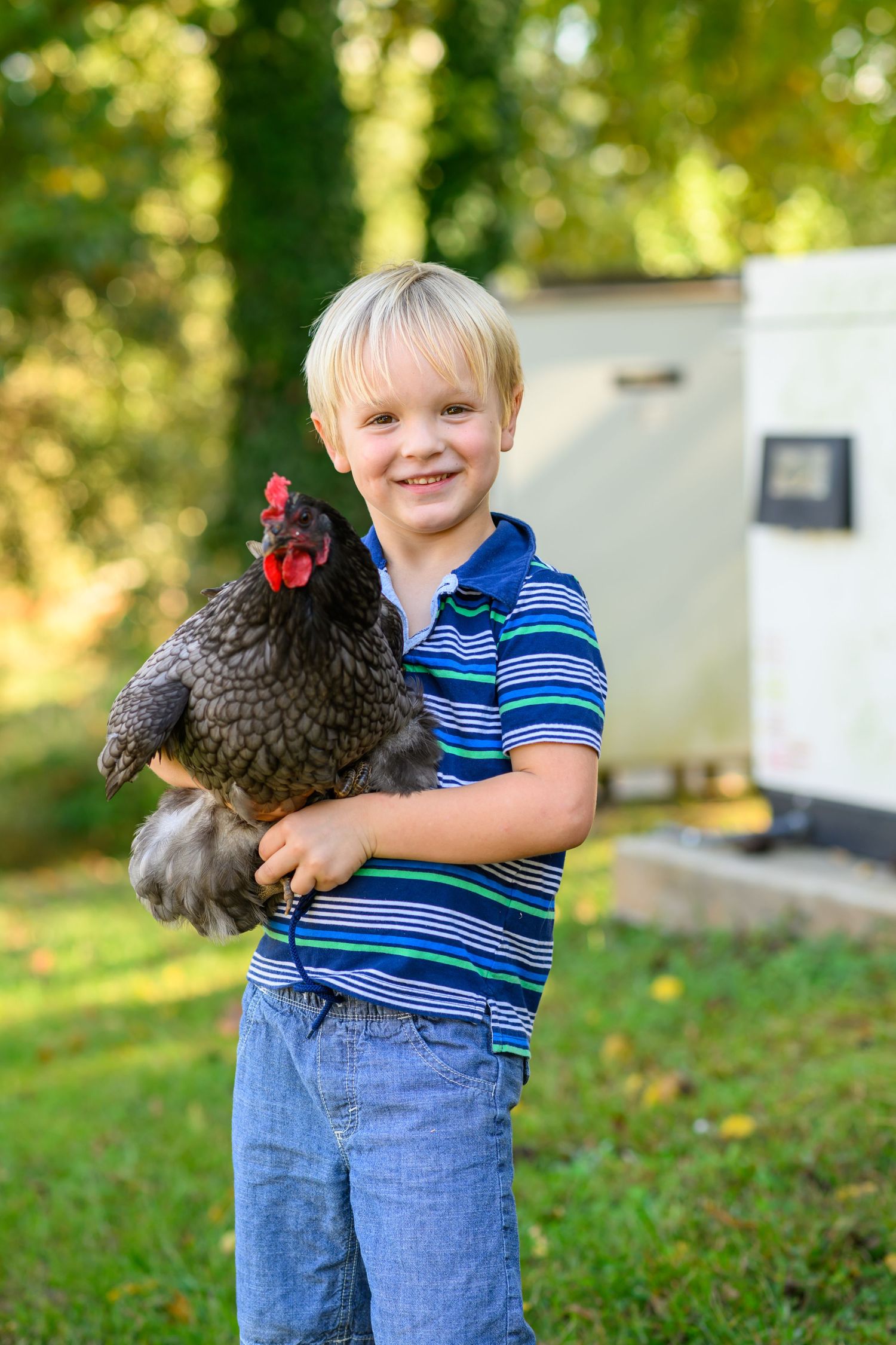 Smiling blond boy holding a dark speckled hen outdoors near a chicken coop on a sunny day.