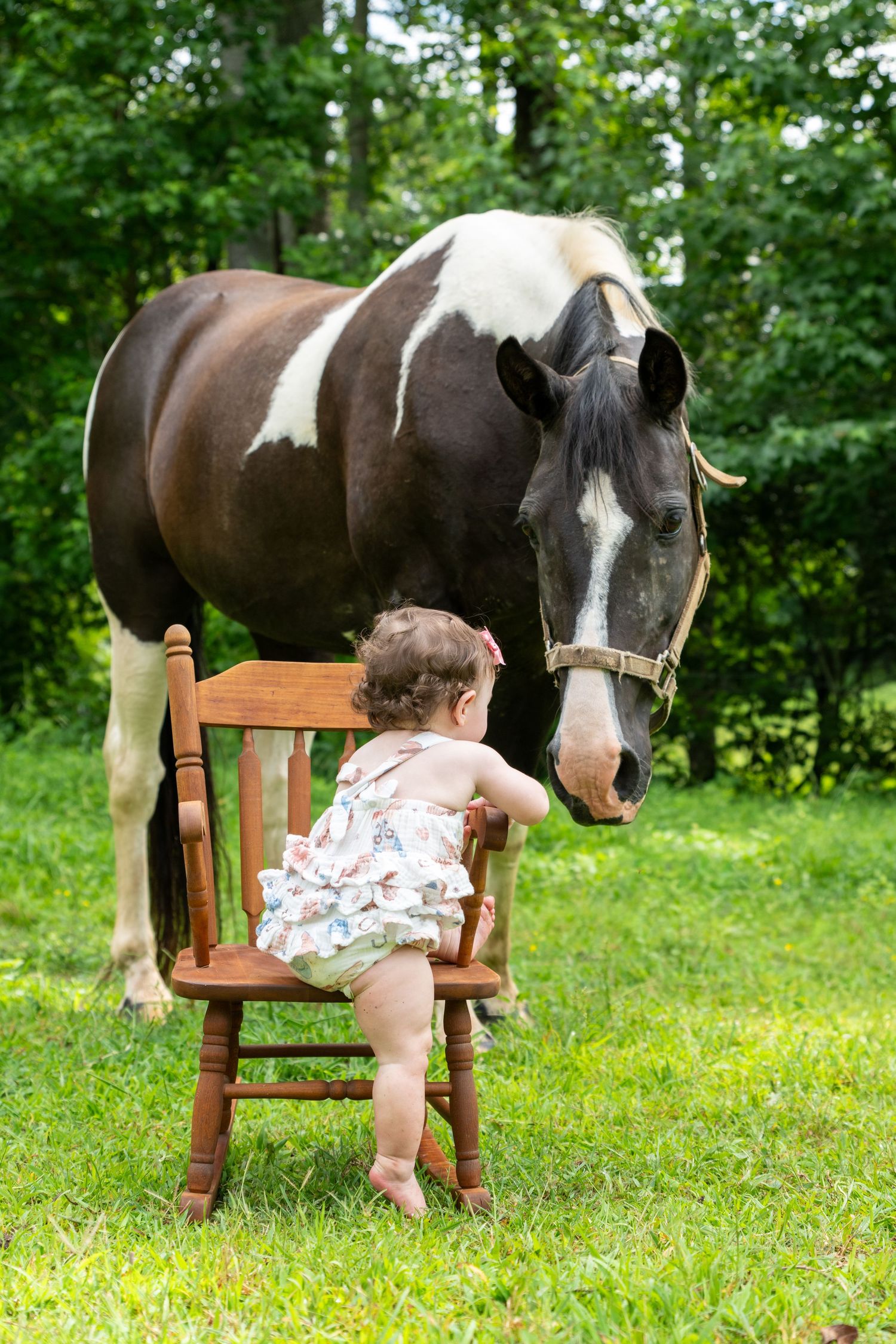 Toddler in floral romper standing on wooden chair facing a brown and white paint horse on green grass.