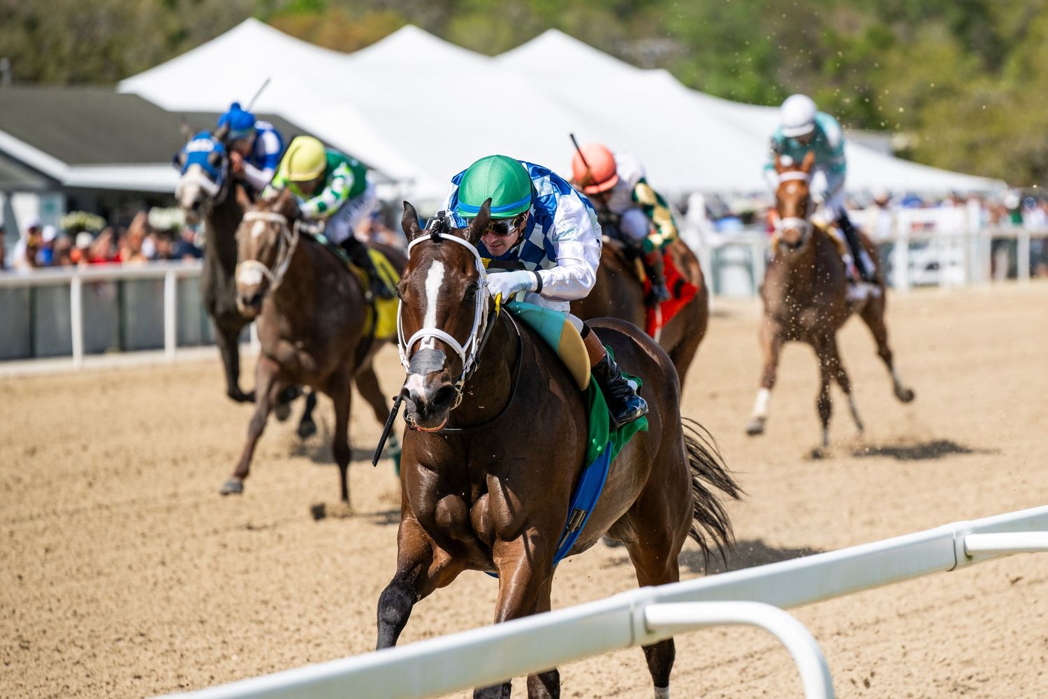 Jockey in green helmet leads pack of thoroughbreds on sandy dirt horse racing track.
