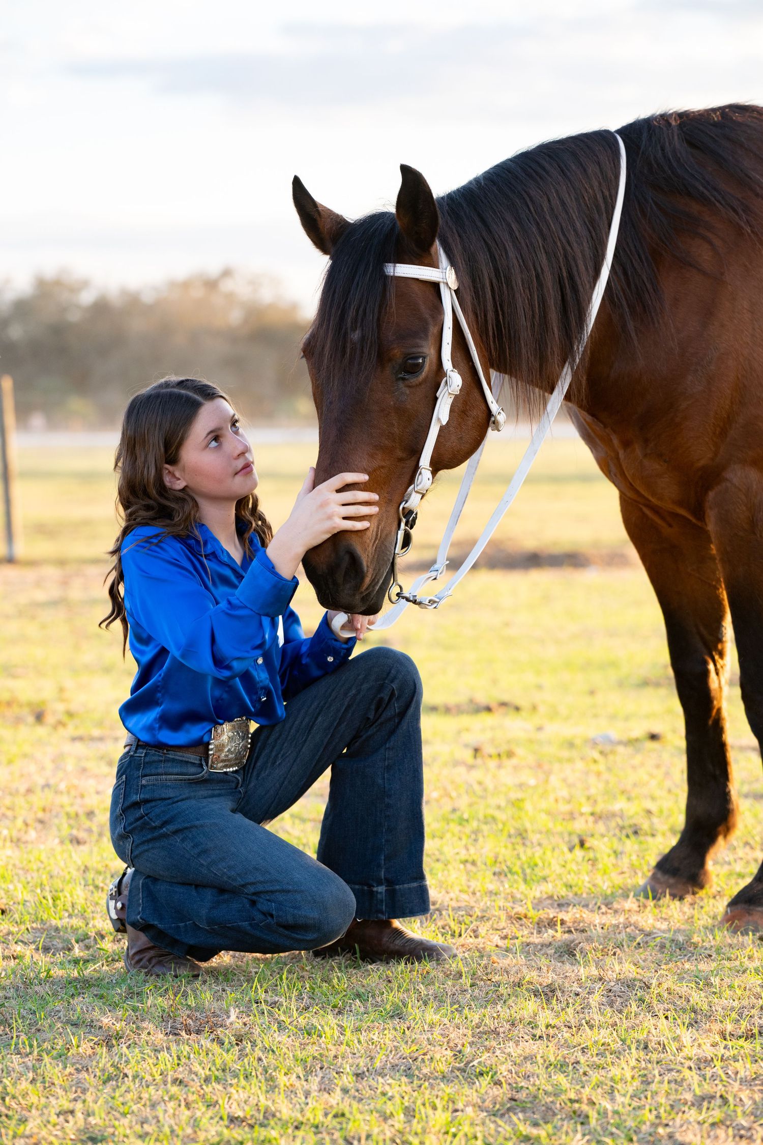 Young woman in blue shirt kneels beside brown horse with white halter on grass.