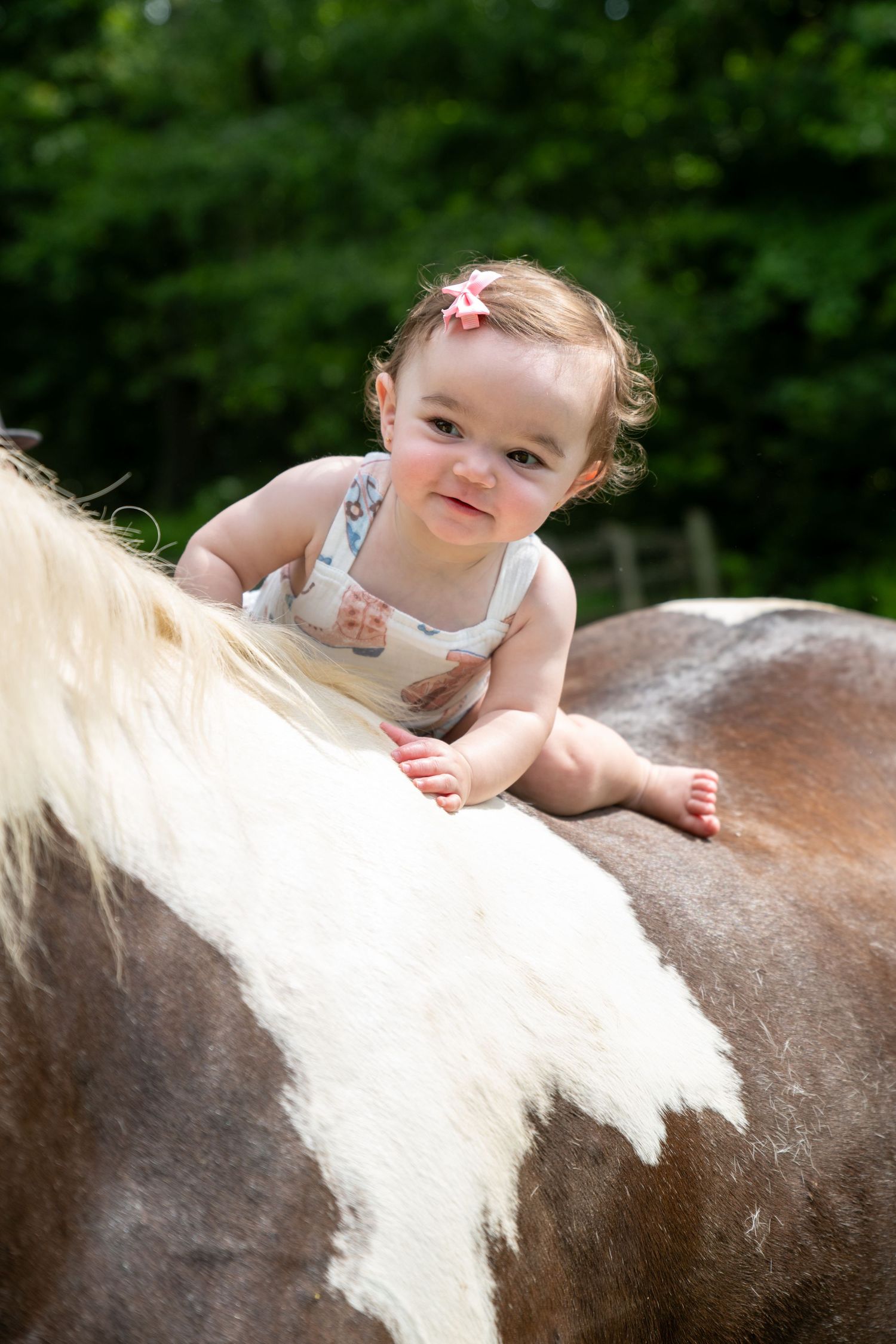 Adorable baby girl in overalls sitting on a brown and white horse outdoors with green trees in background.