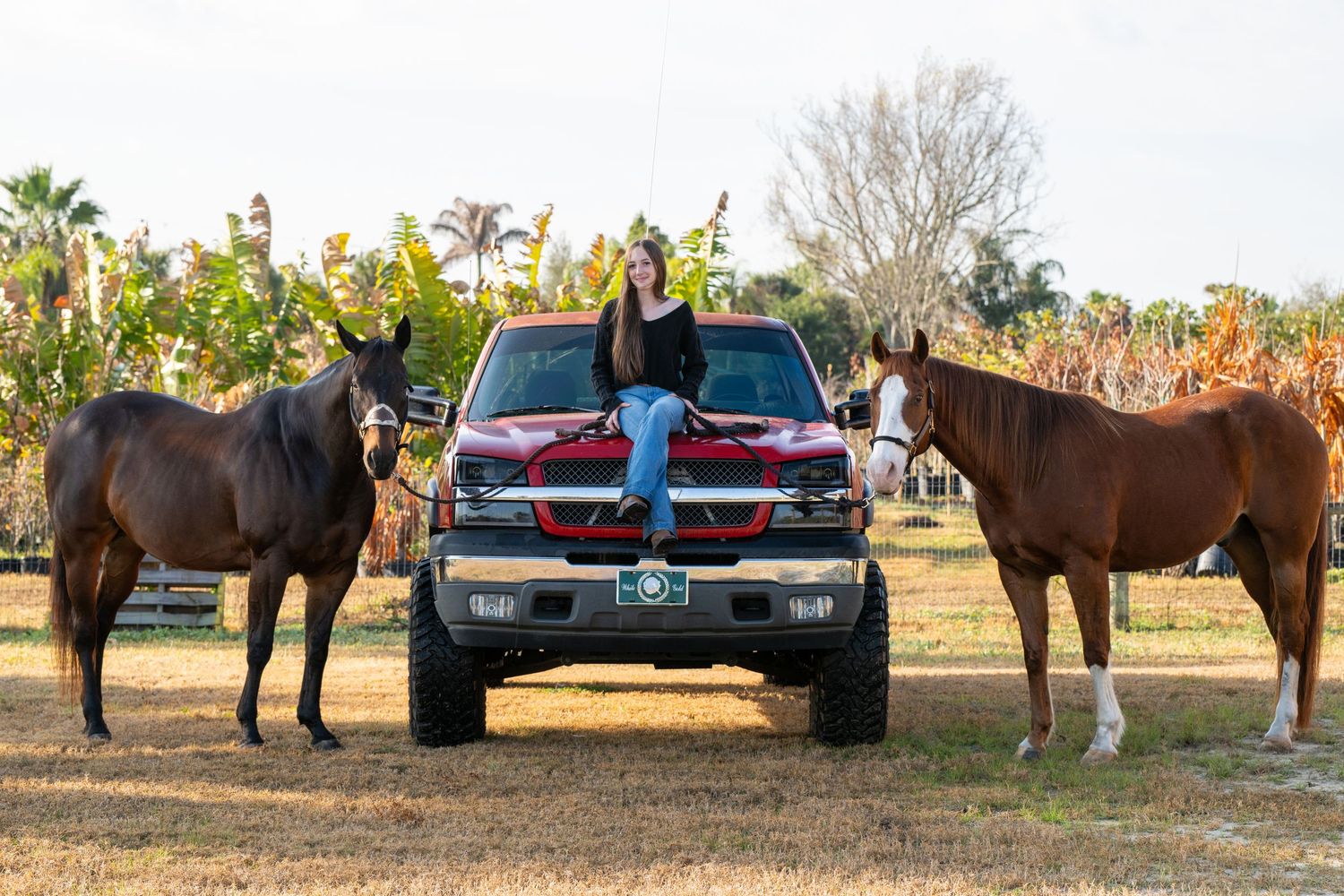 Young woman sitting on a lifted red truck hood flanked by two brown horses in a sunny outdoor field.