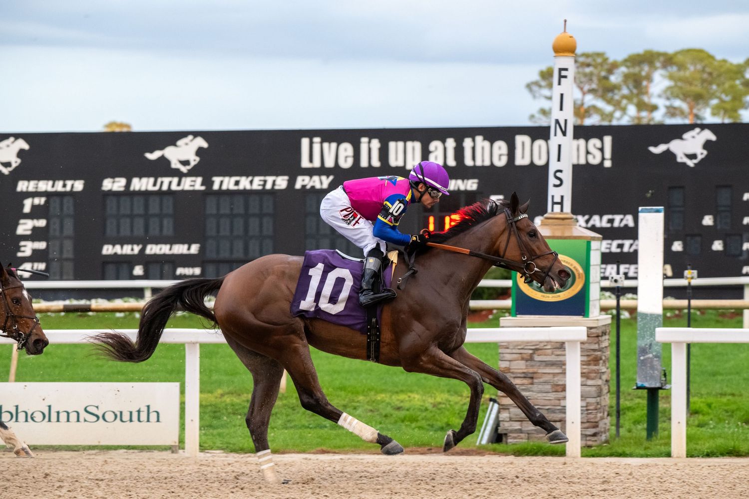 Horse number 10 with jockey races to the finish line at a thoroughbred track with colorful signage.