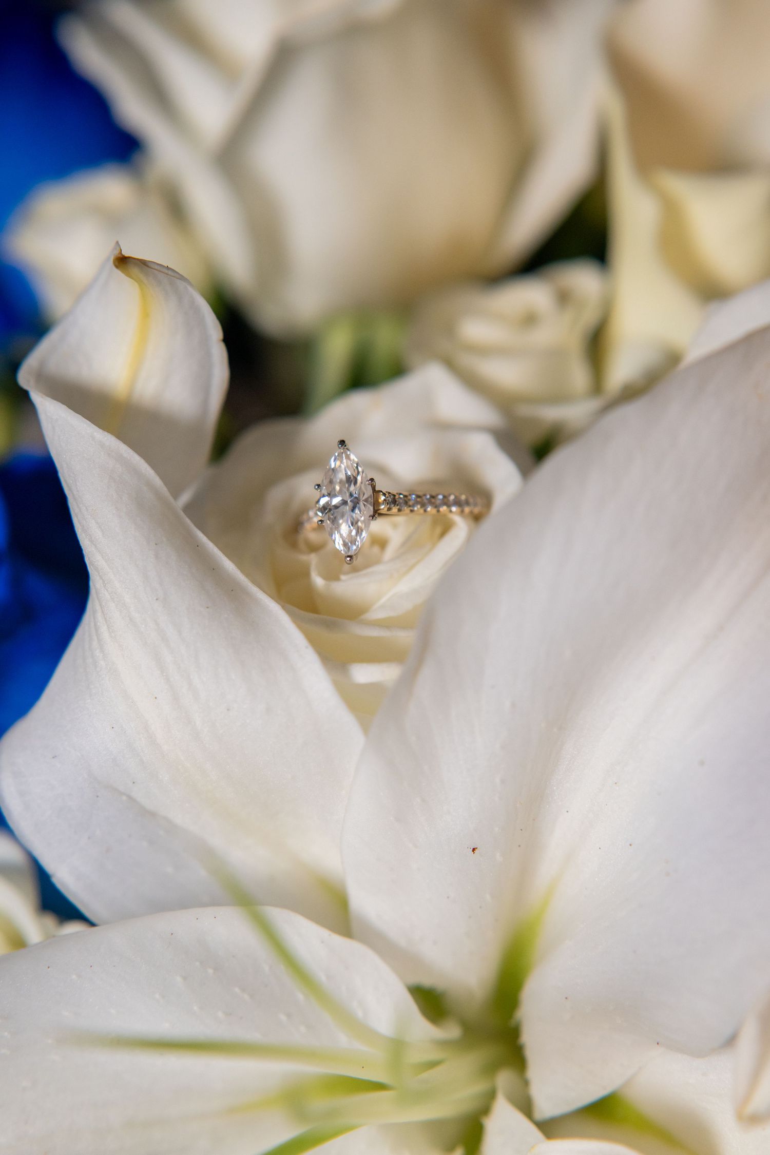 Marquise diamond engagement ring on gold band resting among white roses and lily petals in a bridal bouquet.