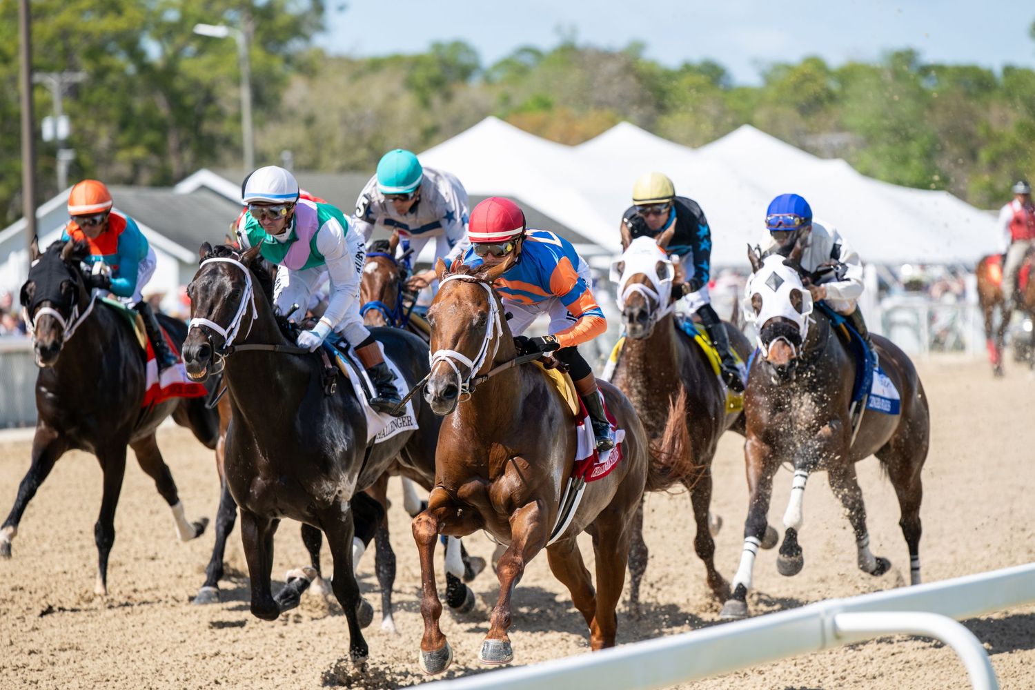 Group of jockeys and thoroughbred horses racing tightly together on a sandy dirt track.