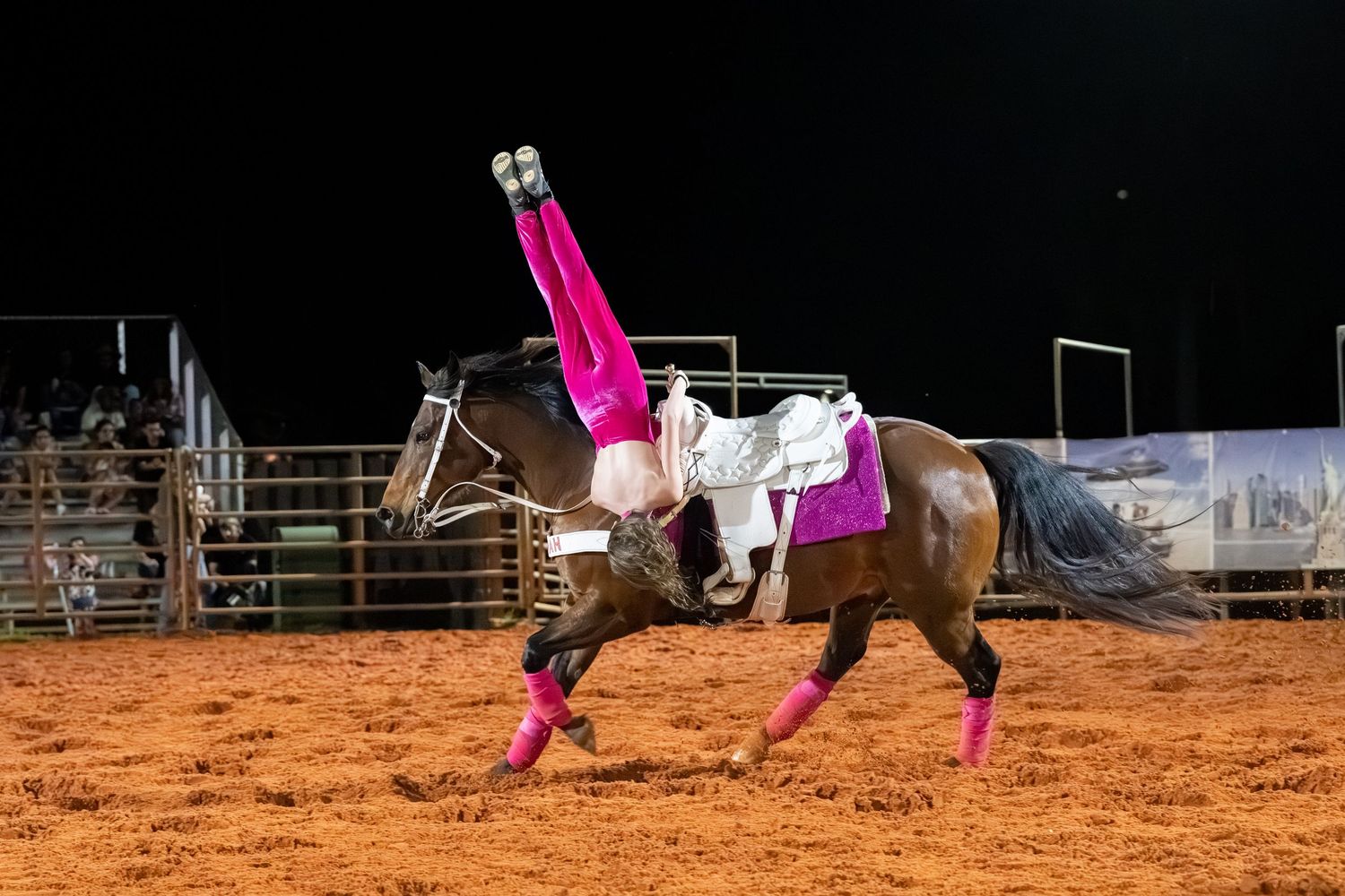Acrobat in pink performs handstand on moving horse during nighttime rodeo show.