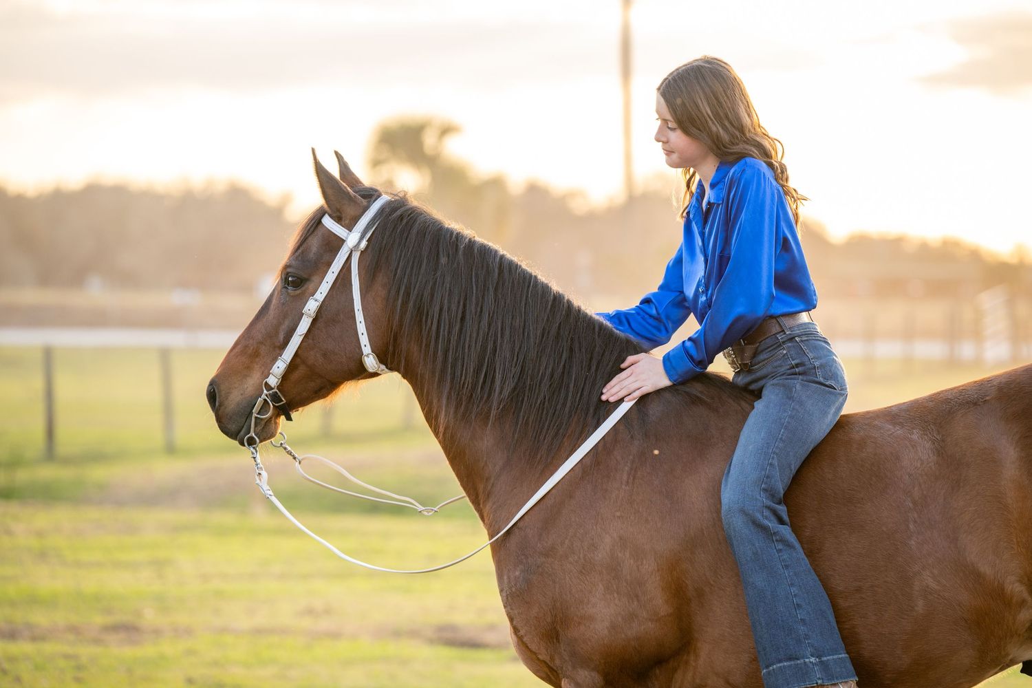 Girl in blue shirt rides dark bay horse bareback in golden evening light.