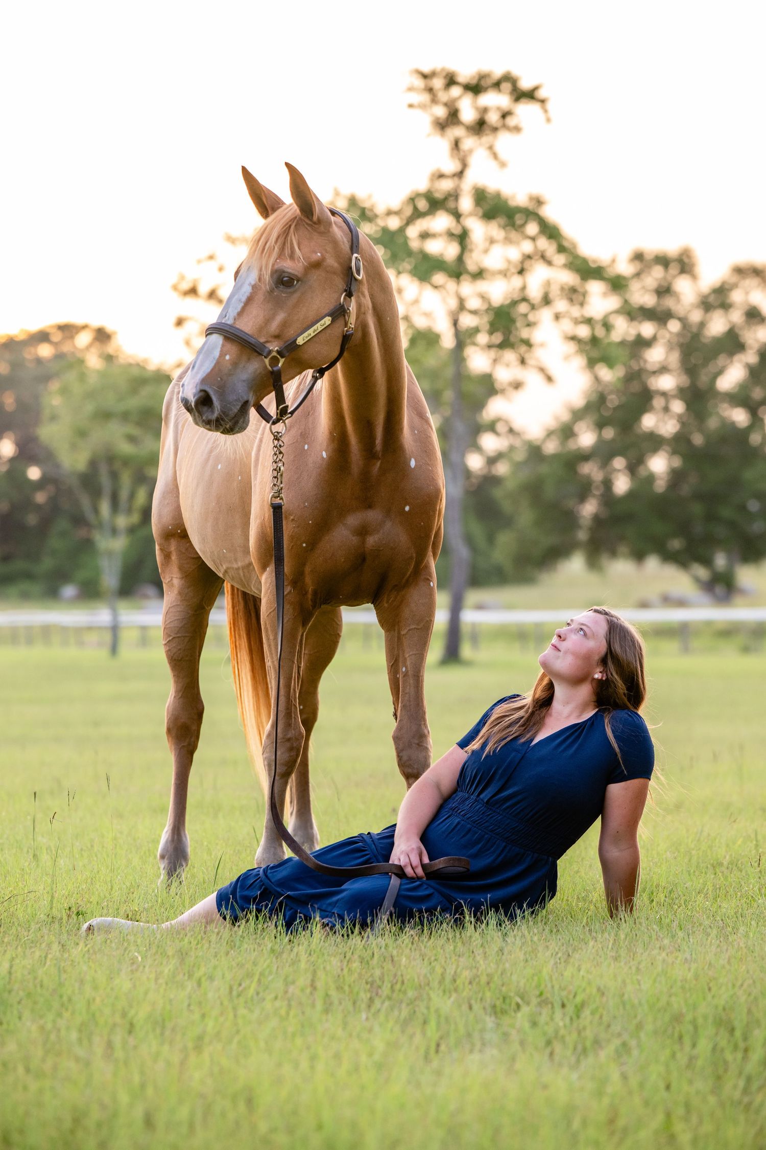 Woman in navy dress sitting in grass field beneath chestnut horse at sunset.