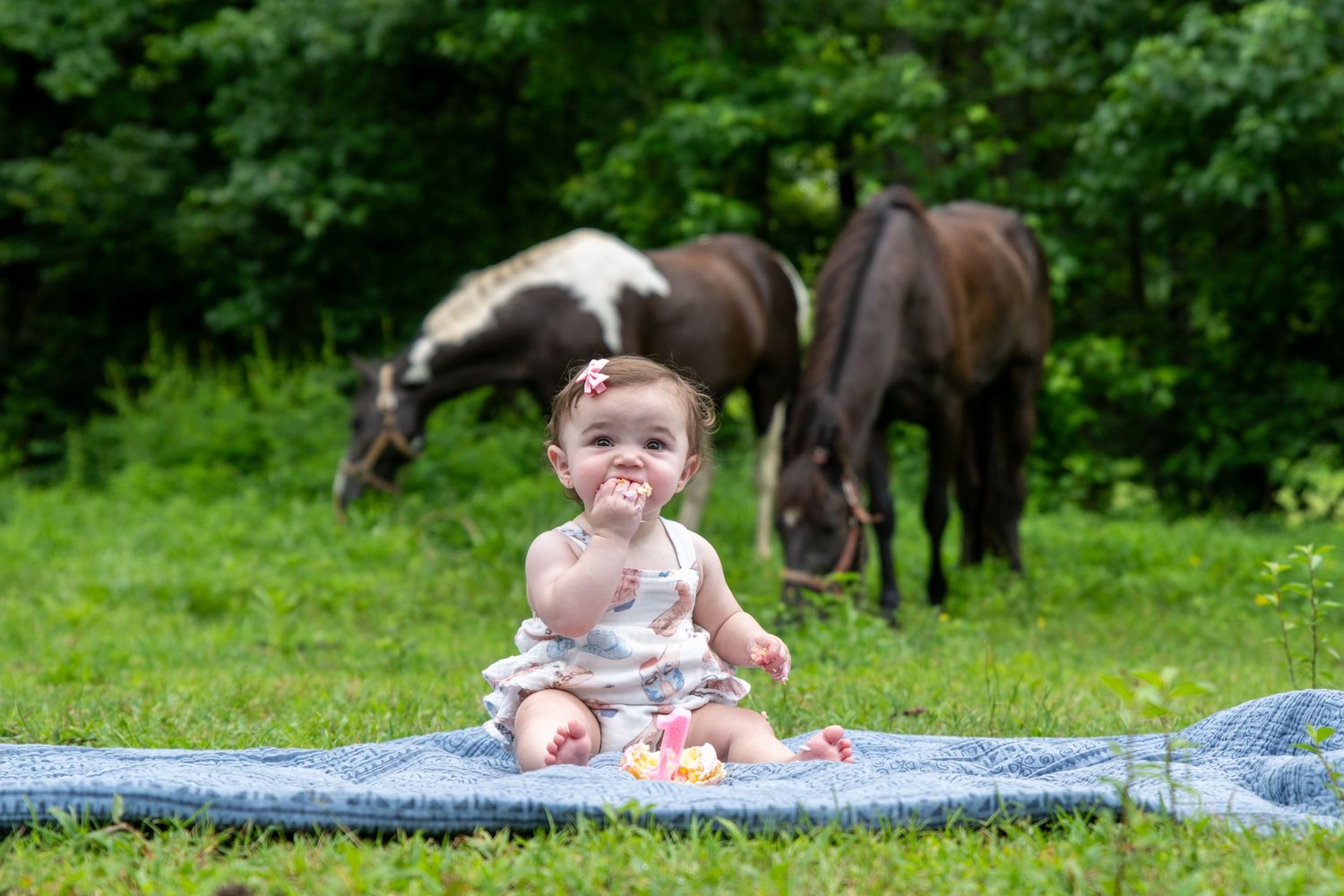 Baby girl sitting on a blanket outdoors with horses grazing in the background on a lush green lawn.
