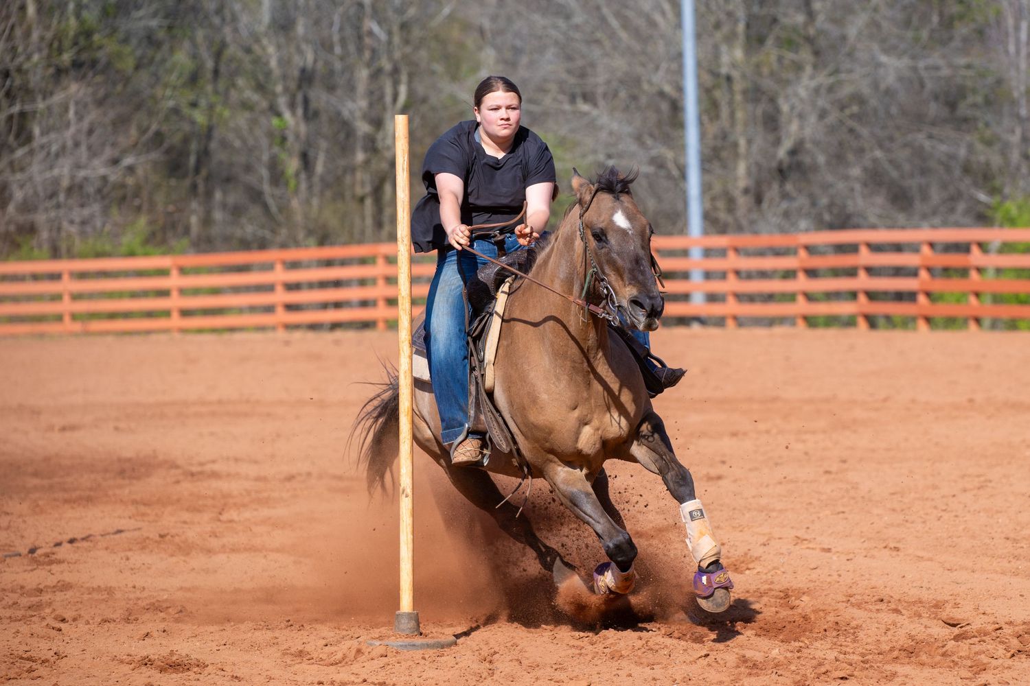 Female rider on a brown horse performs a sharp turn around a pole during a pole bending competition in a dirt arena.