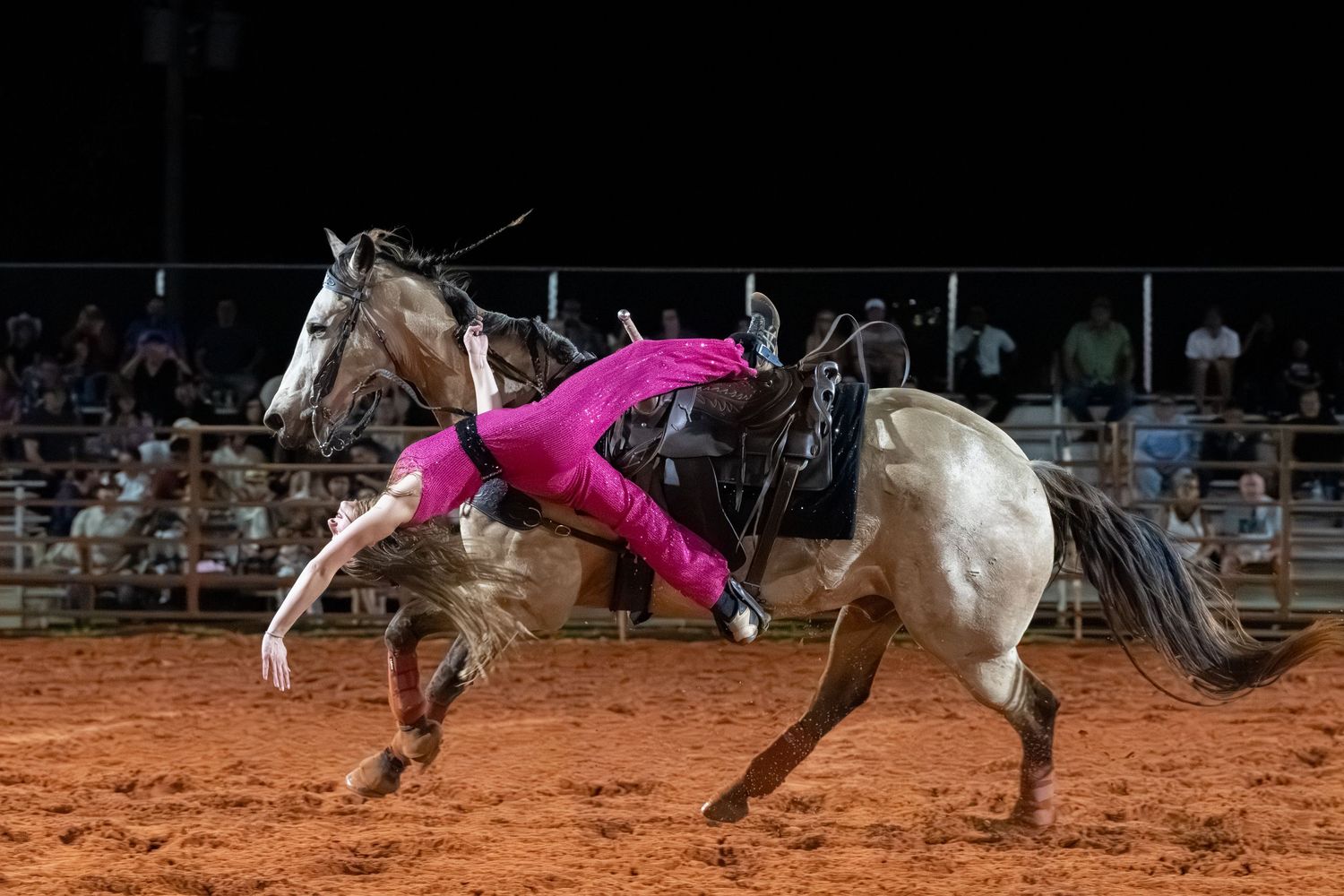 A rodeo performer in pink outfit doing acrobatics on a galloping gray horse at a night rodeo event.