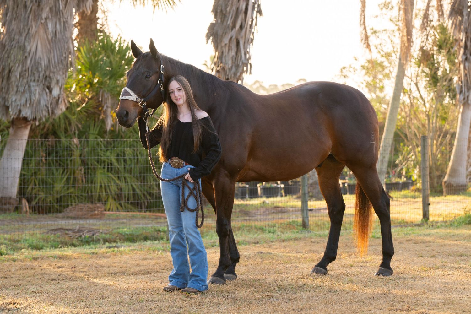 Young girl standing beside a tall dark bay horse in a sunny outdoor paddock surrounded by palm trees.