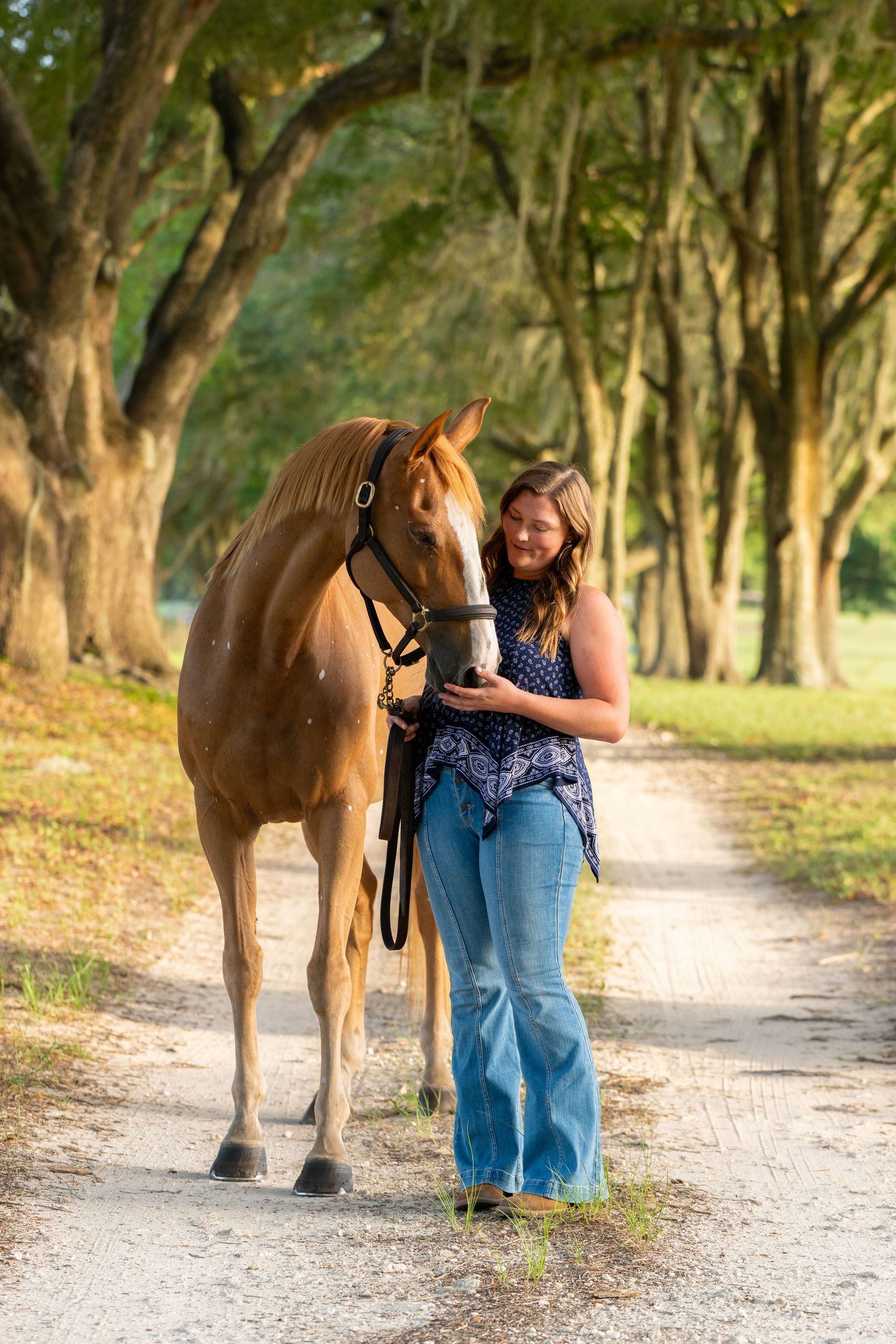 Woman in flare jeans walking a chestnut horse down a tree-lined gravel path in golden afternoon light.