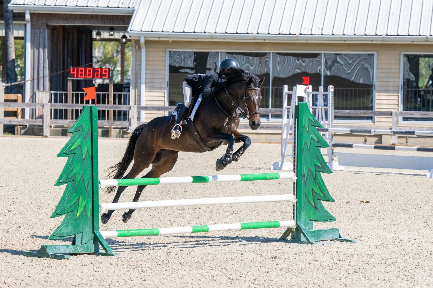 Dark horse and rider jumping over green tree-shaped show jumping fence in outdoor arena.