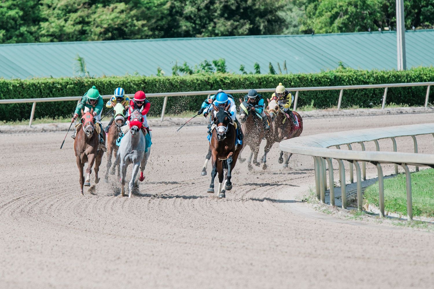 Group of jockeys on horseback racing on dirt track at outdoor horse racing venue.