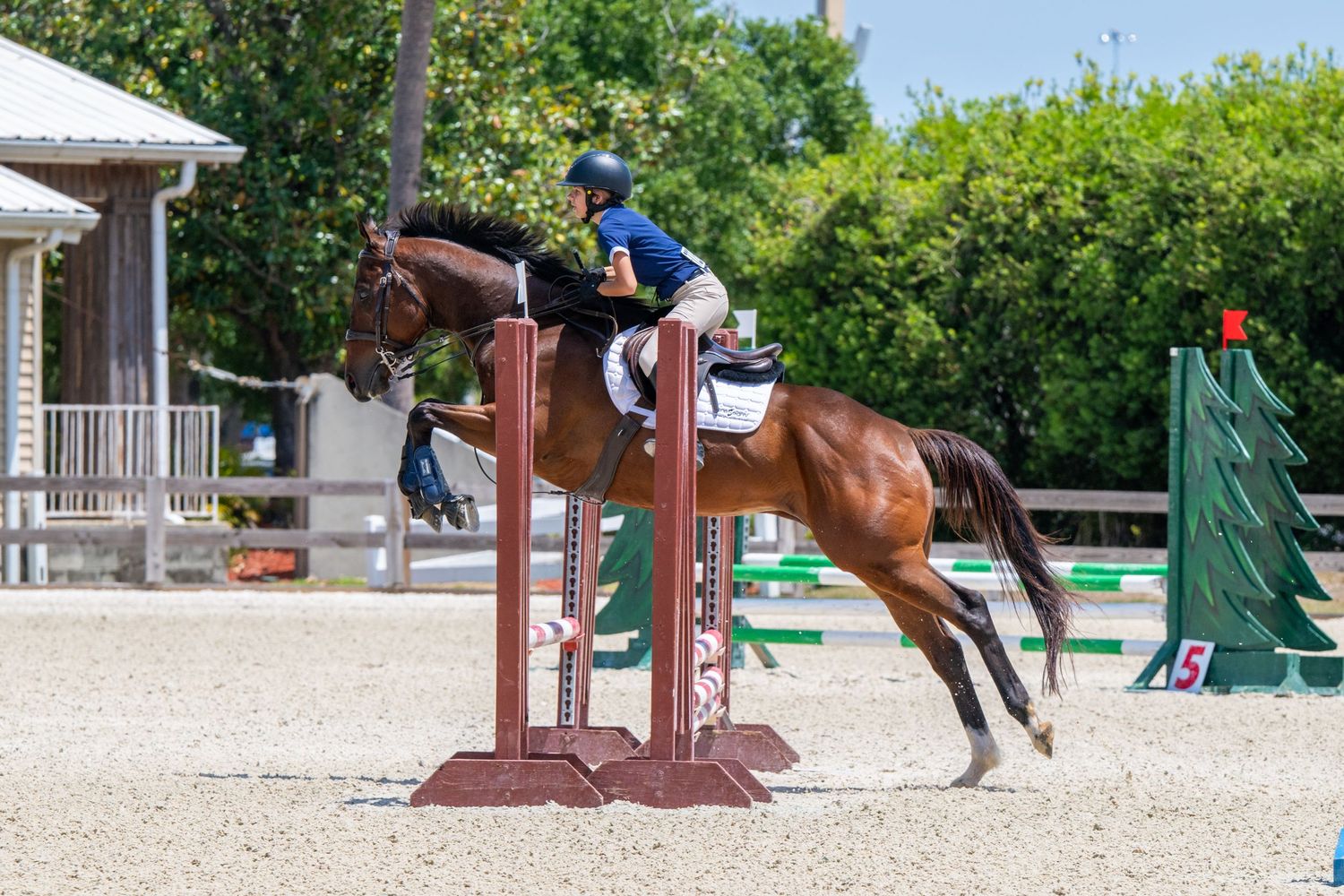 Rider on chestnut horse clearing a show jump obstacle in sunny outdoor equestrian arena.
