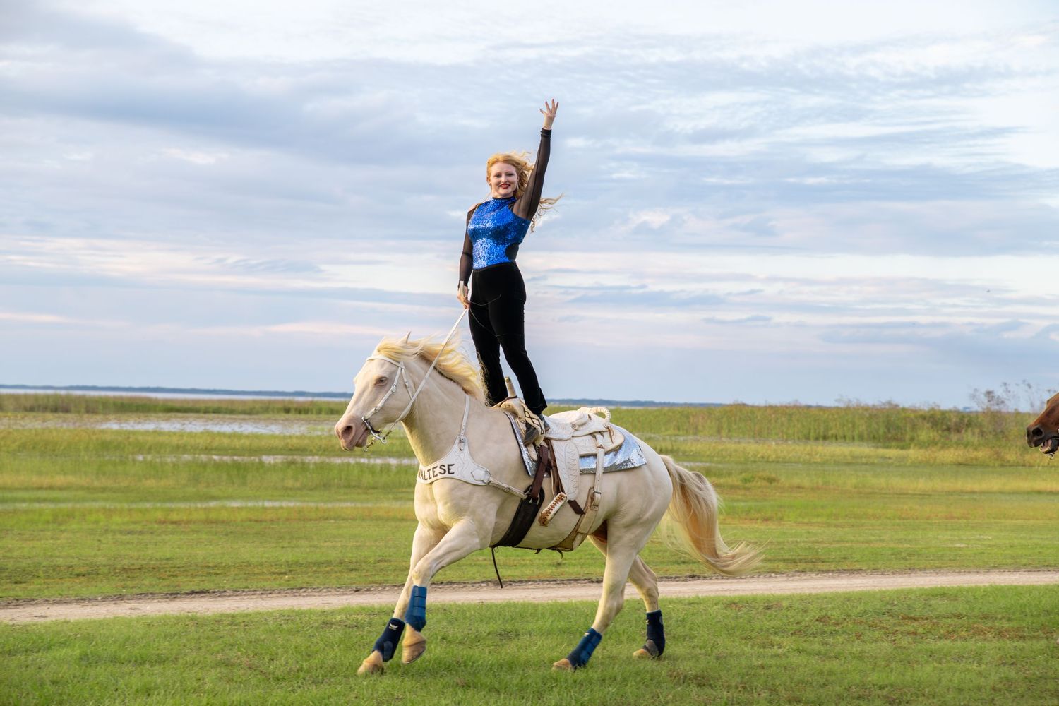 A woman stands on a white horse galloping across a green field, performing equestrian vaulting with one arm raised.