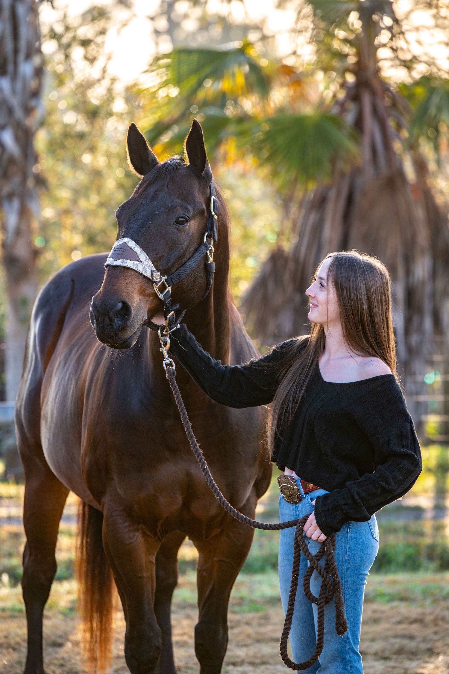 Young woman in black top gently petting a dark bay horse on a lead rope outdoors.
