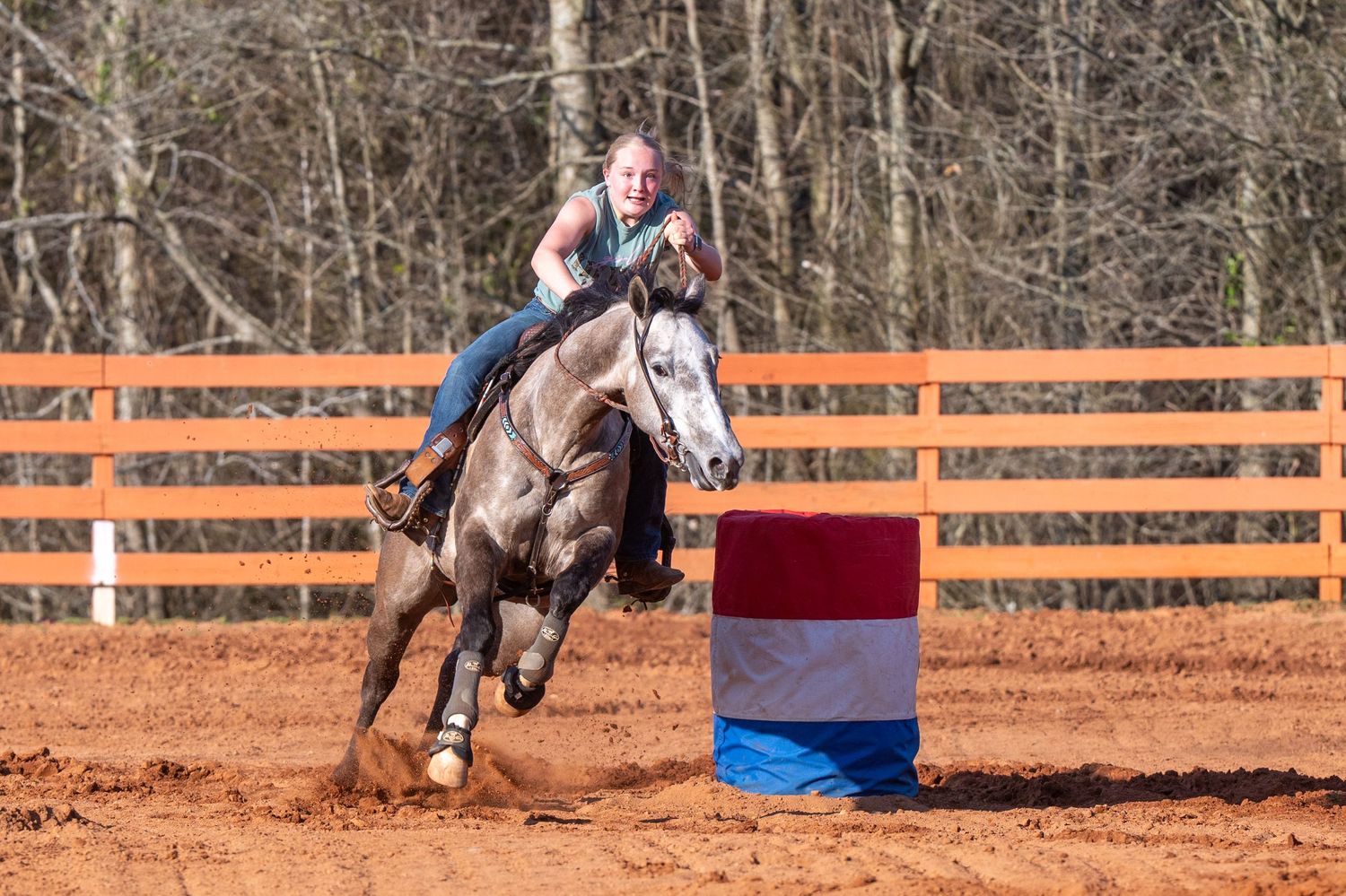 Female rider races gray horse around colorful barrel in red dirt rodeo arena.