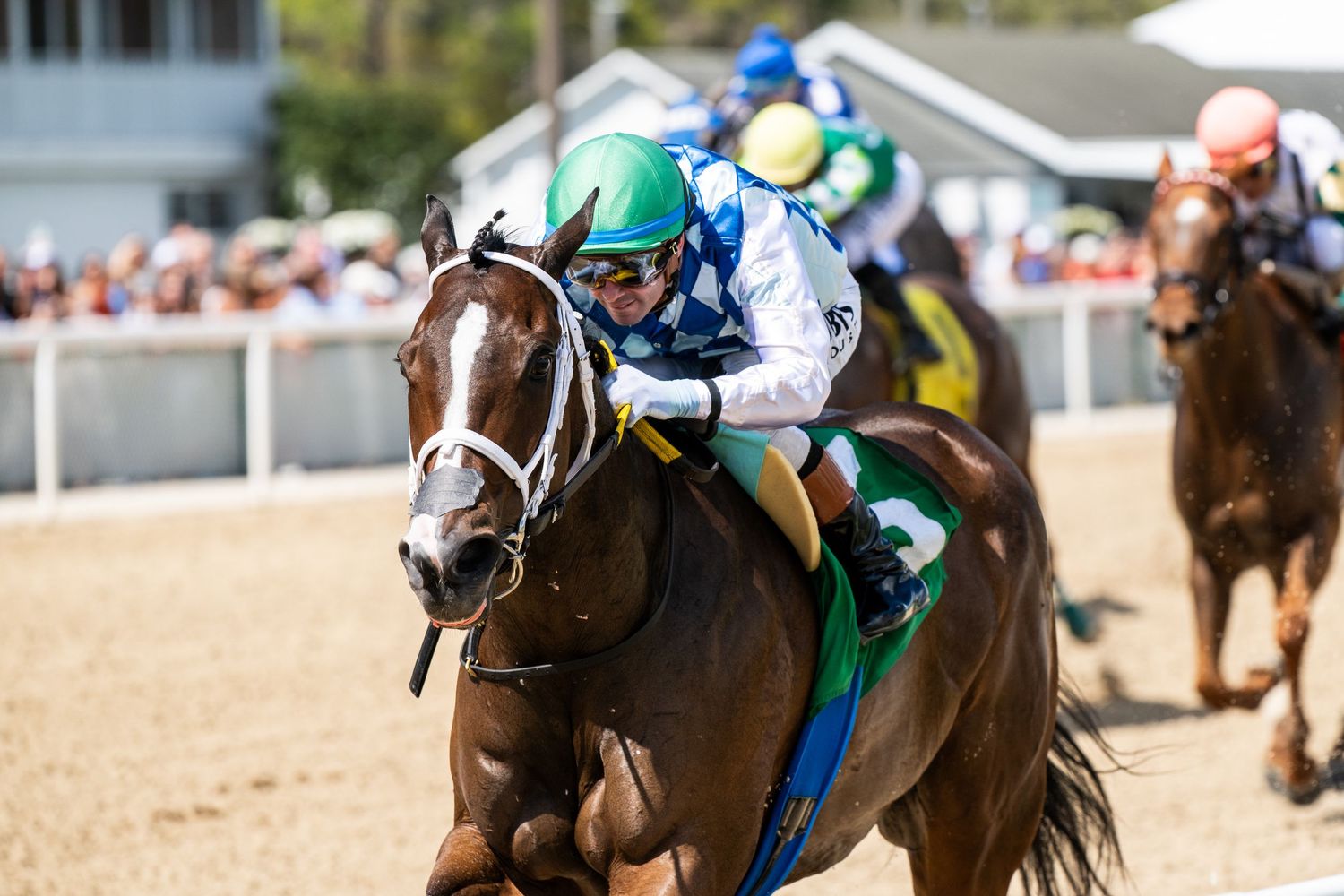 Jockey in green and blue silks riding chestnut horse to victory on dirt track.