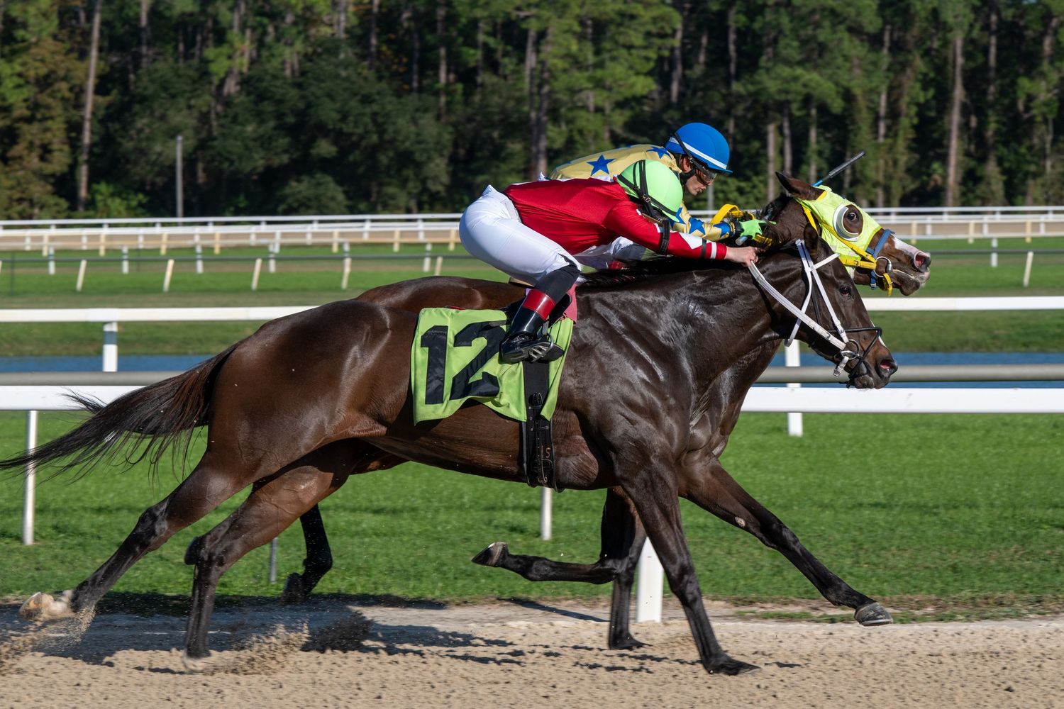 Two jockeys racing thoroughbred horses neck and neck on dirt track through wooded area.