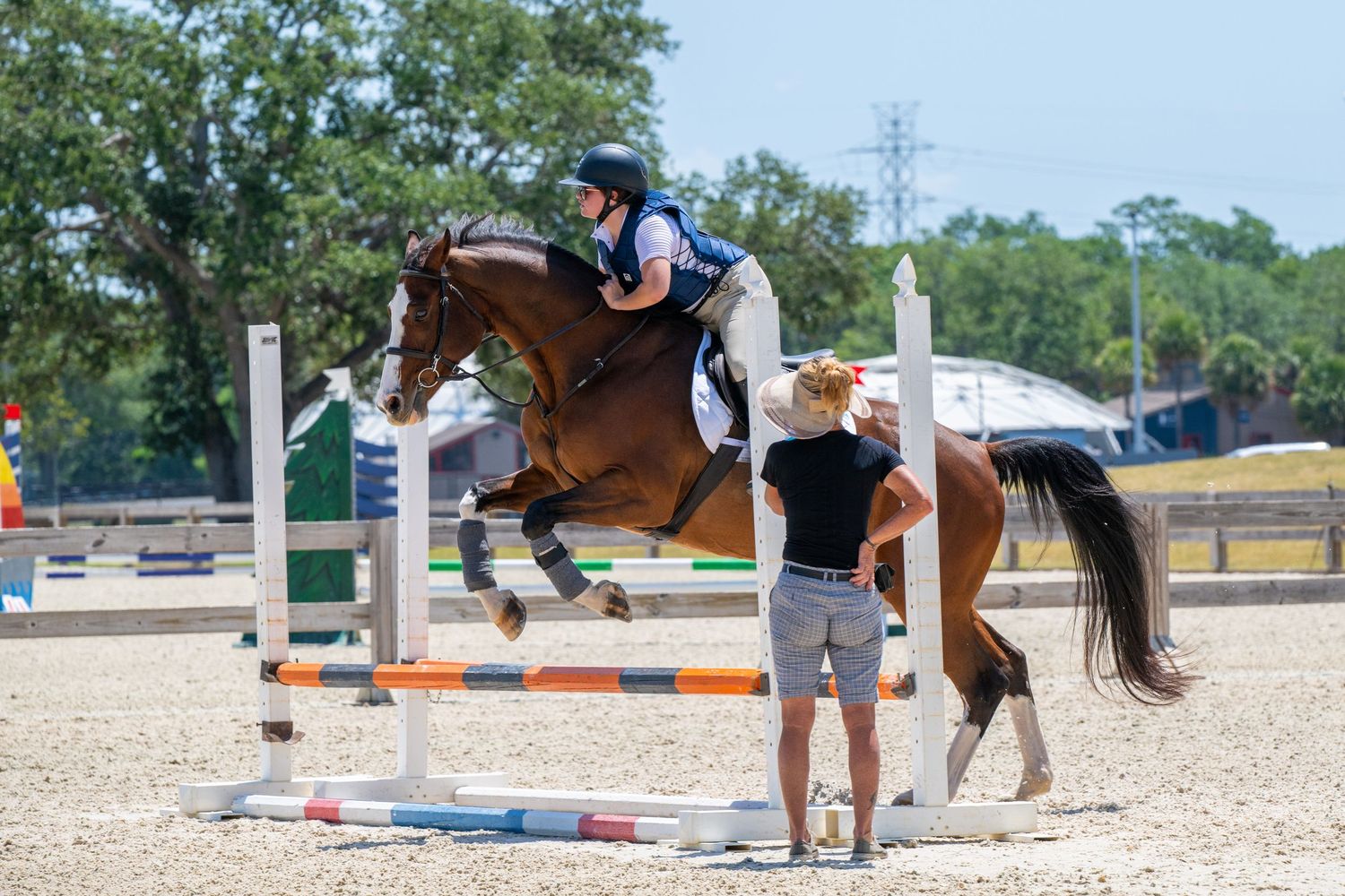 Equestrian rider on chestnut horse jumping over colorful show jump obstacle in sunny outdoor arena.