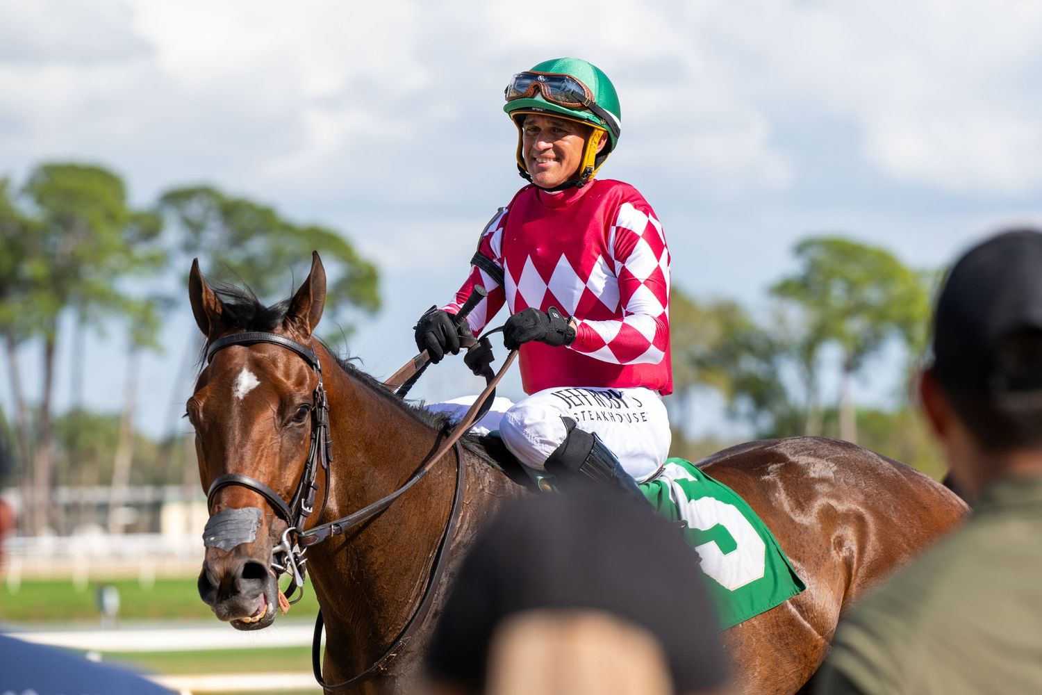 Smiling jockey in pink diamond silks rides chestnut racehorse on sunny track.