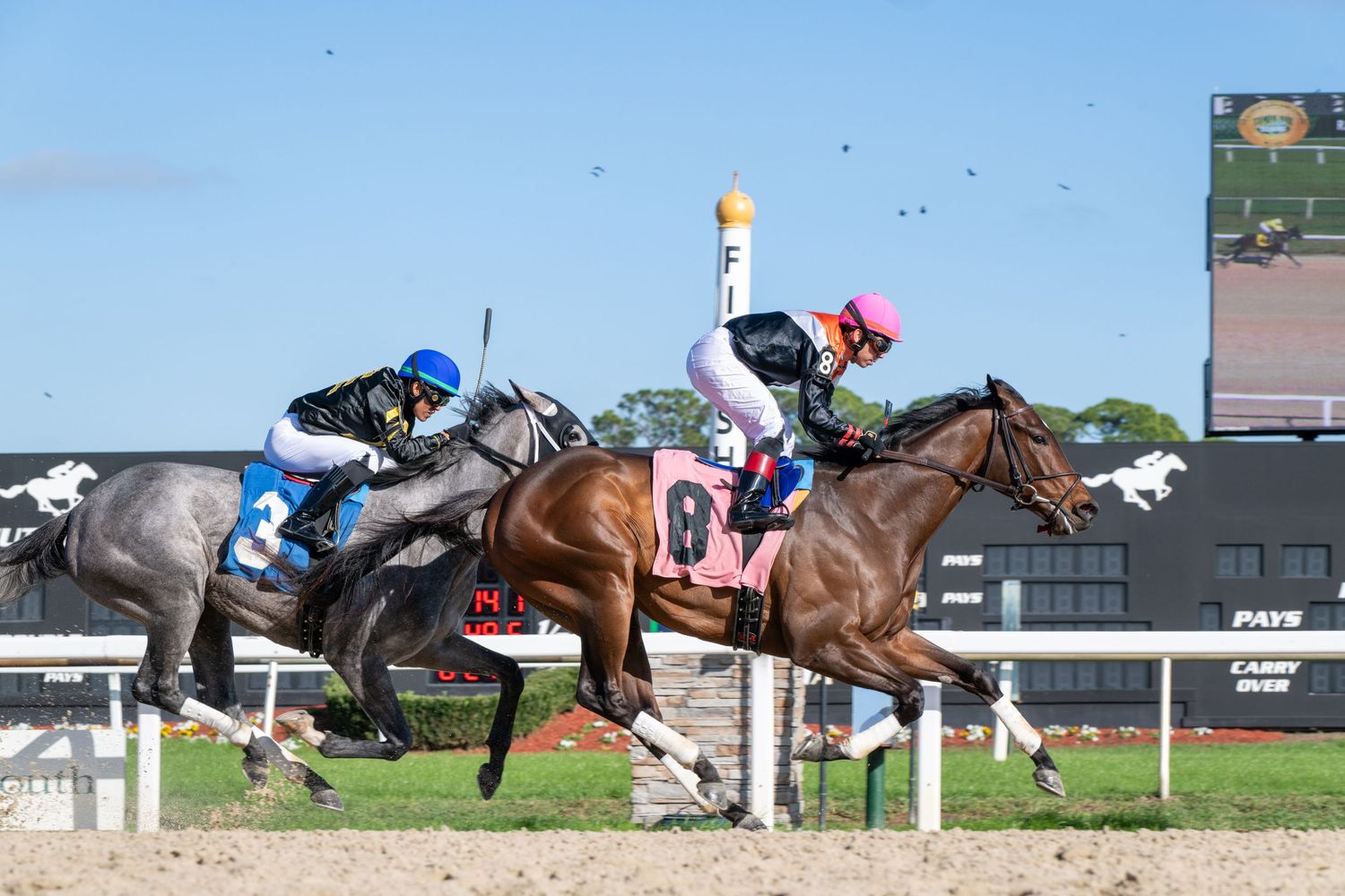 Two jockeys racing horses on a dirt track at a horse racing venue with green scoreboards visible in the background.