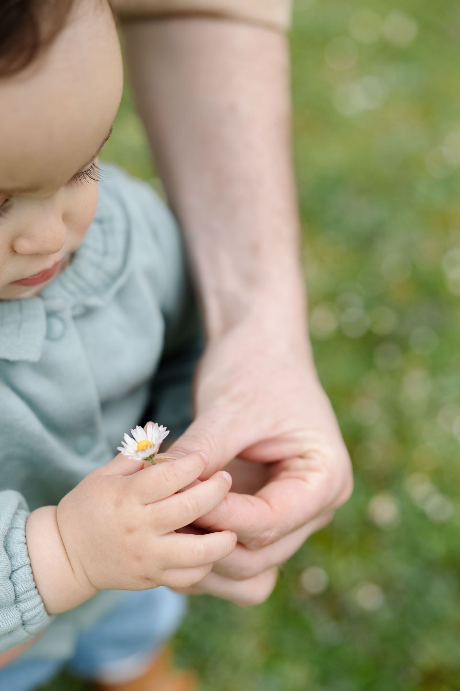 Photographie-de-famille_Les-familles-d-Aurelie_36