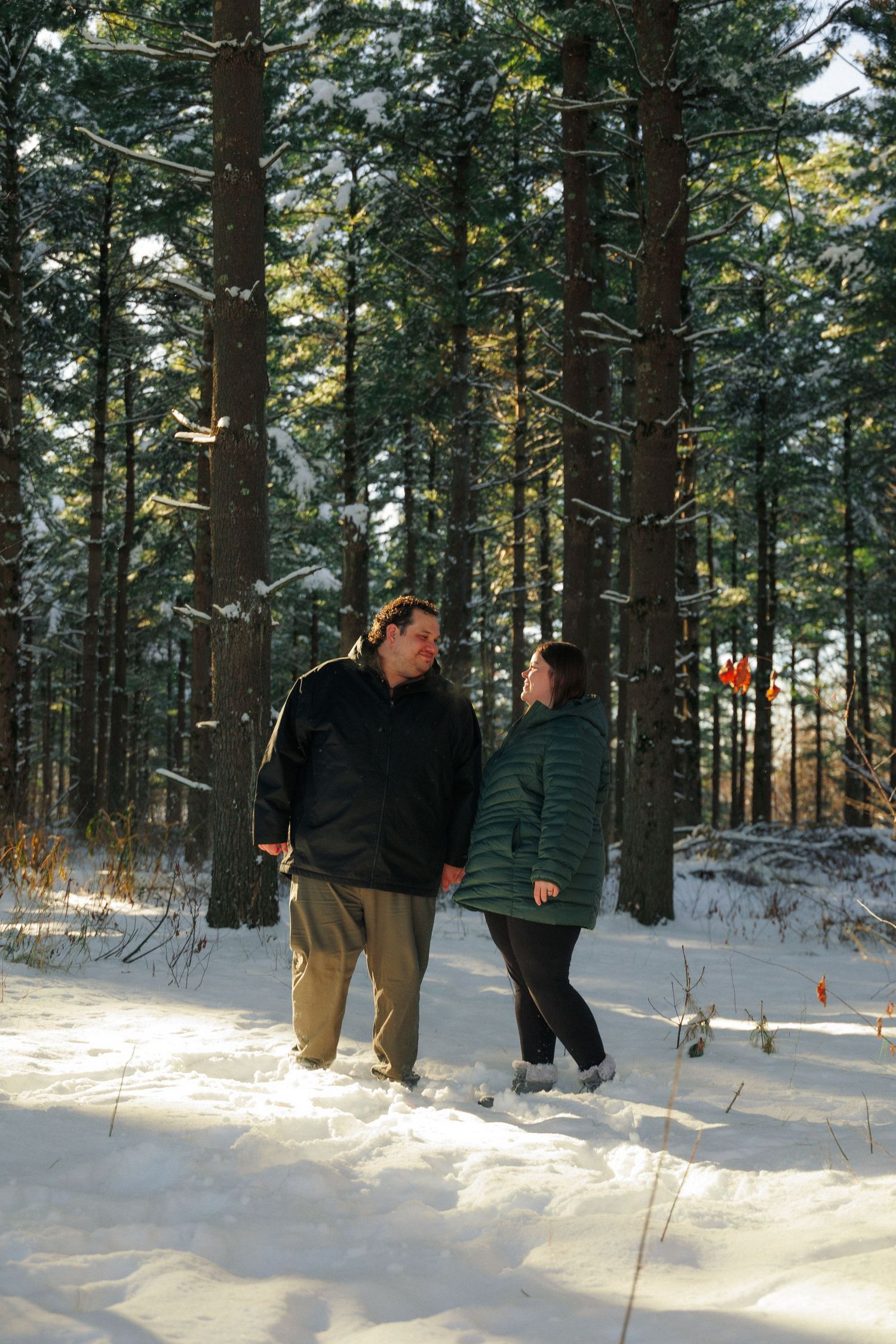 A winter walk through a snowy pine forest creates a romantic scene.