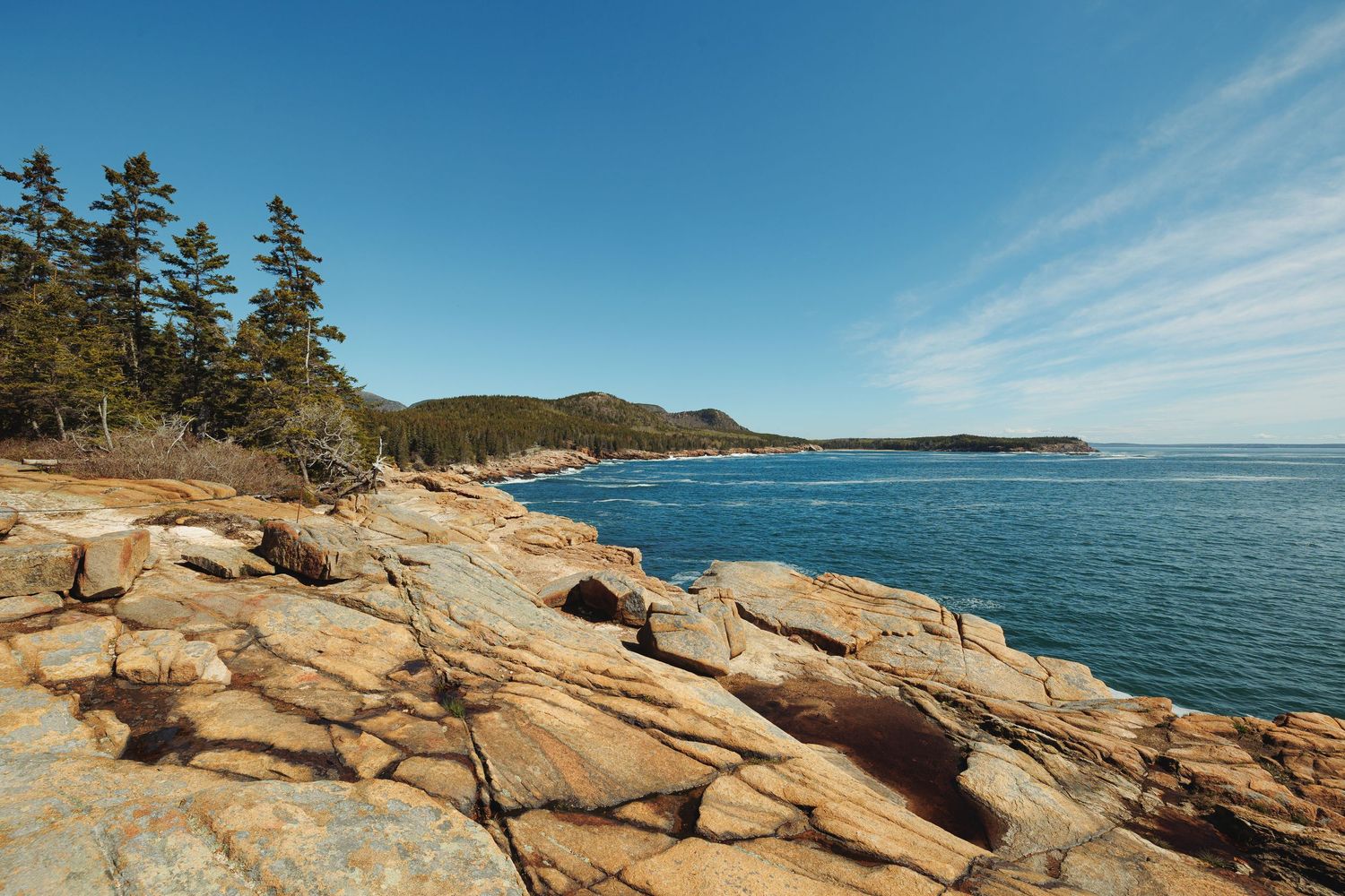 Rocky coastline with pine trees and blue ocean waters under a clear sky at Acadia National Park, Maine.