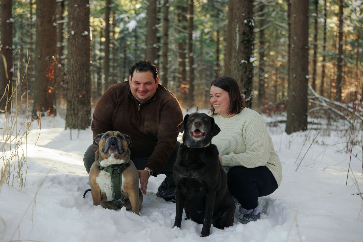 A couple poses with their two dogs in a snowy winter forest setting.