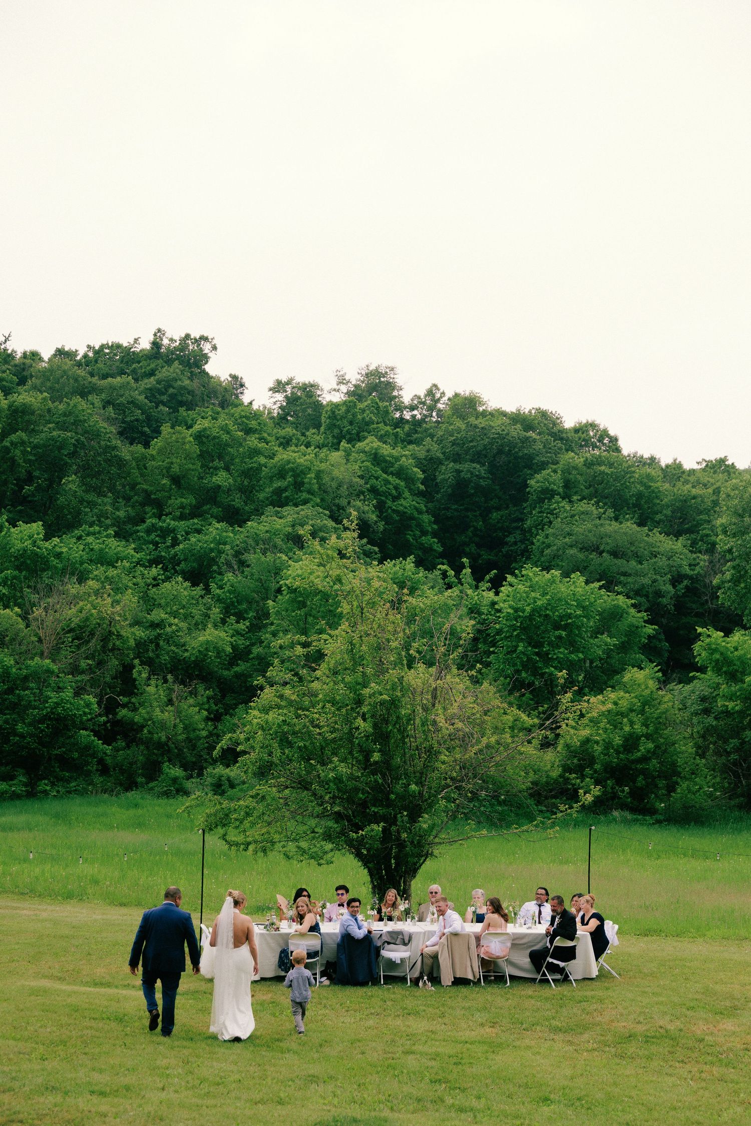 Wedding party and guests gathered for an outdoor reception in a green field surrounded by trees.