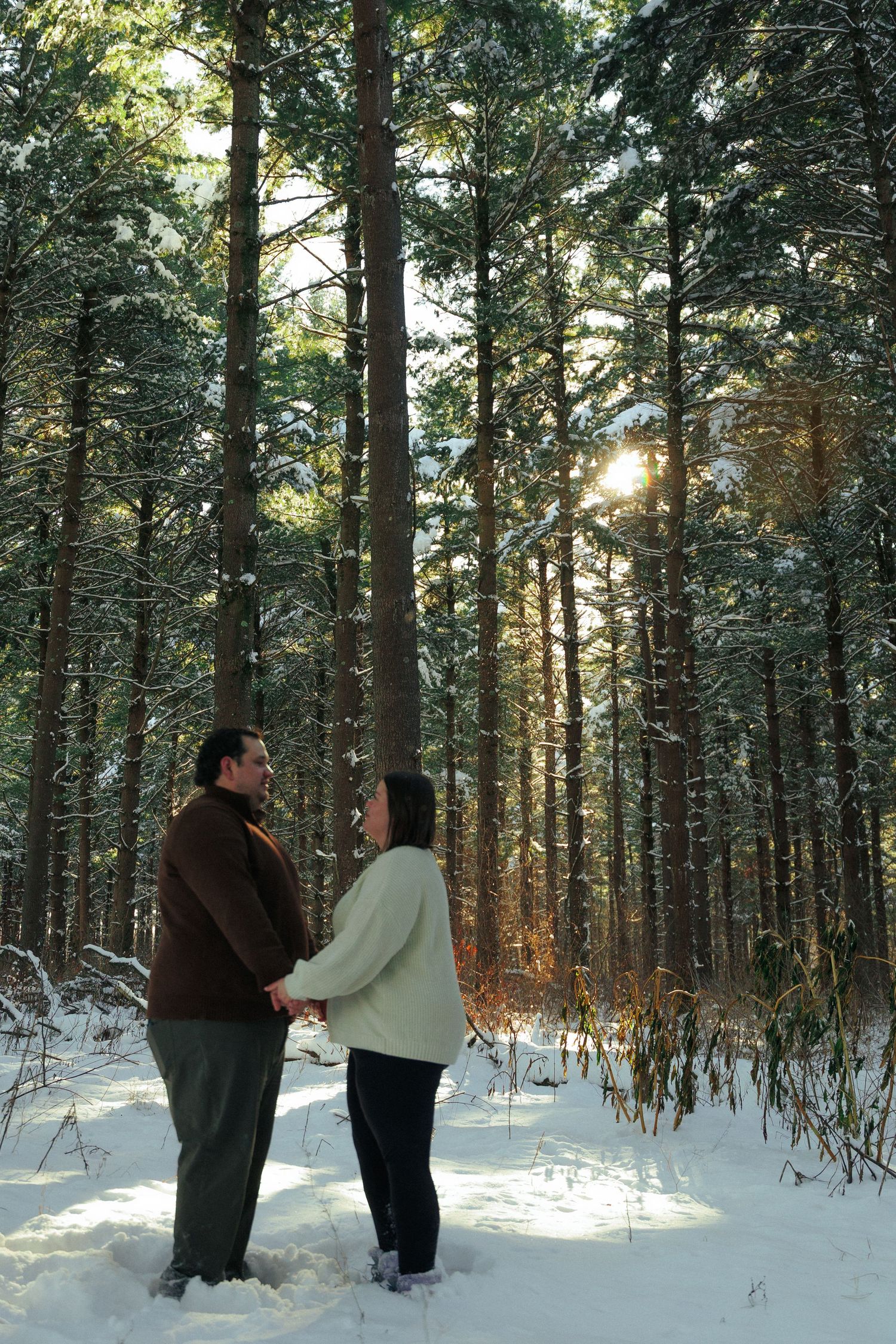 Couple sharing a tender moment in a snowy pine forest during golden hour.