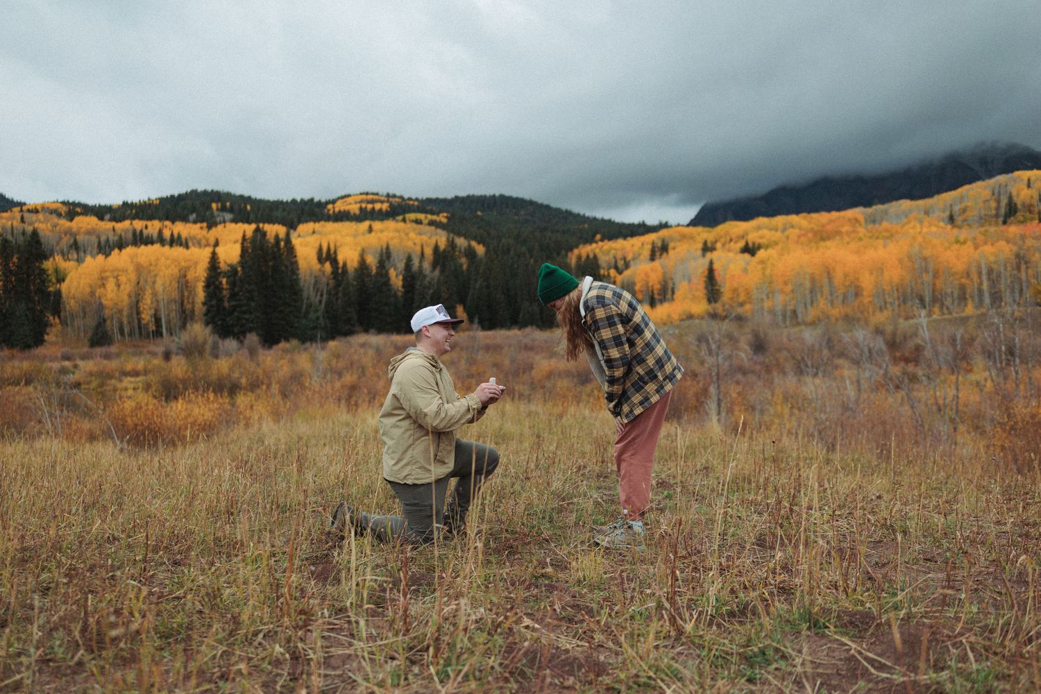 Mountain vista with golden aspen trees and hiking trails in the wilderness.