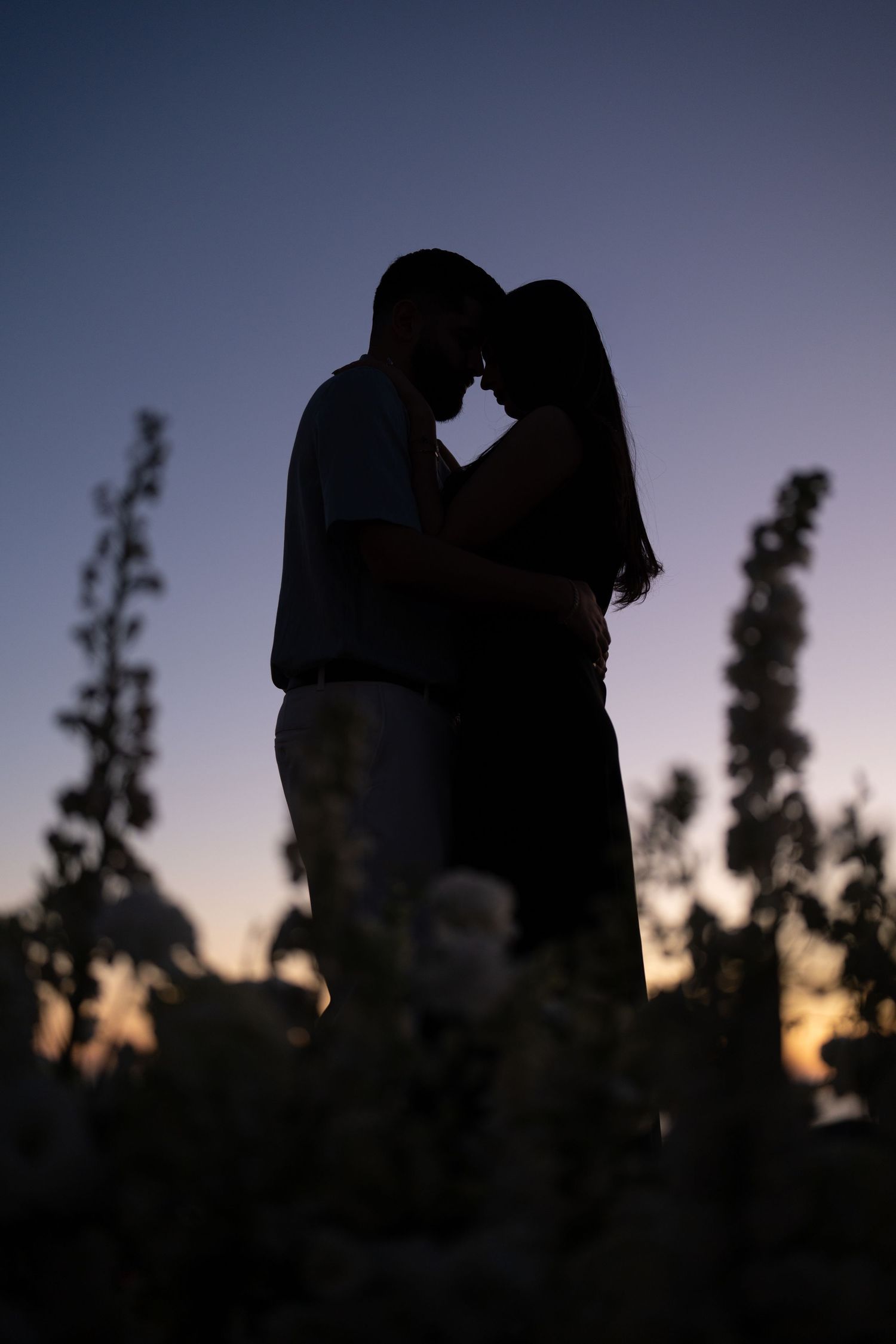 Silhouetted couple sharing an intimate moment at sunset with trees in the background.