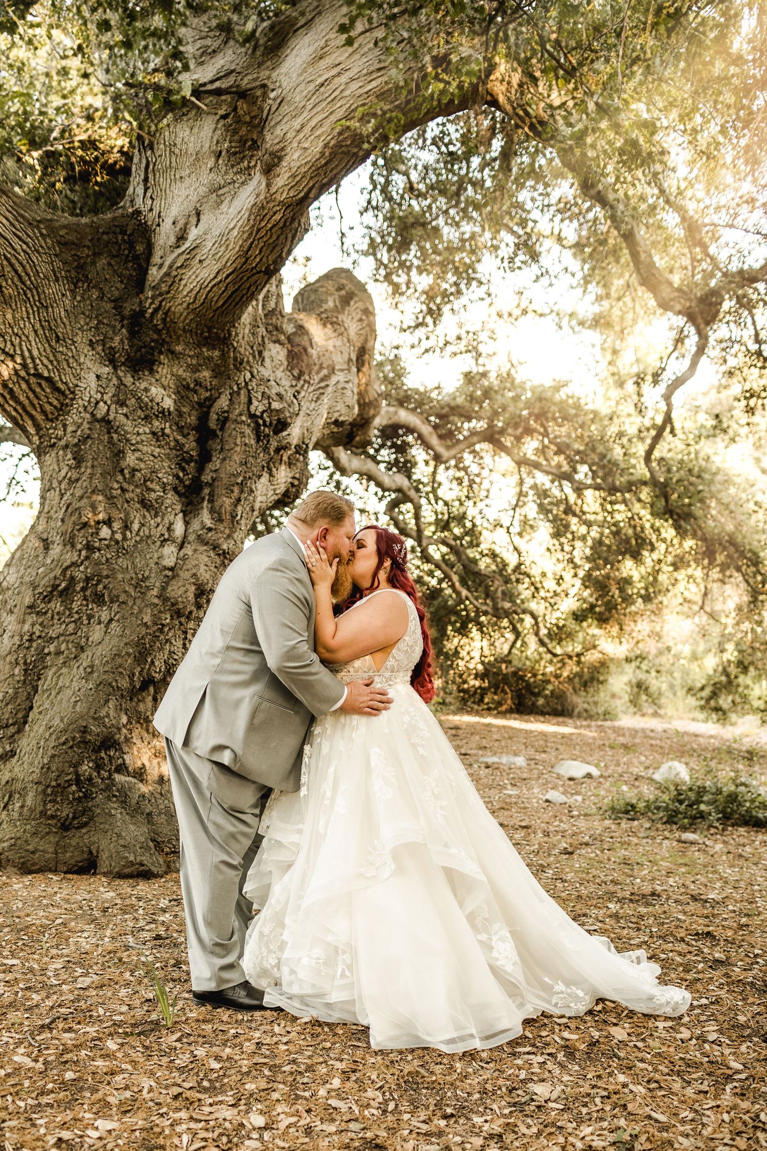 A couple embraces beneath a majestic old tree during sunset.