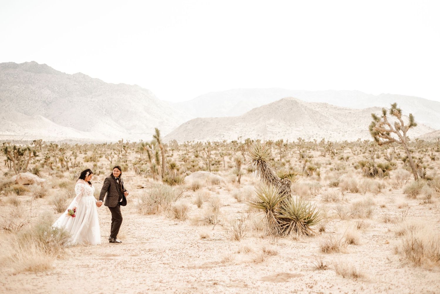 A couple in wedding attire walks through a desert landscape with mountains and Joshua trees in the sepia-toned background.